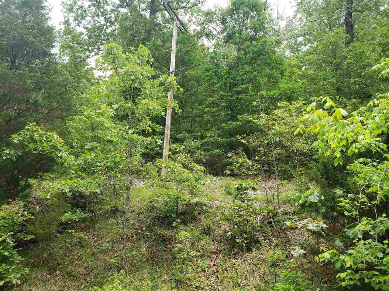 Photo 12 - Vacant Land for sale – L-27 B-5  Flathead   Cherokee Village, AR