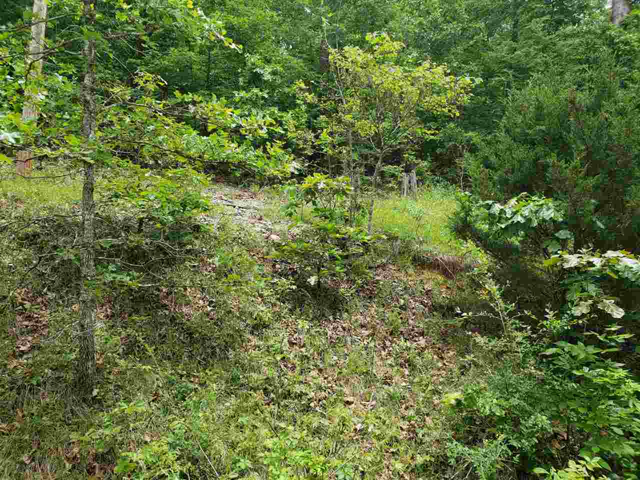 Photo 13 - Vacant Land for sale – L-27 B-5  Flathead   Cherokee Village, AR