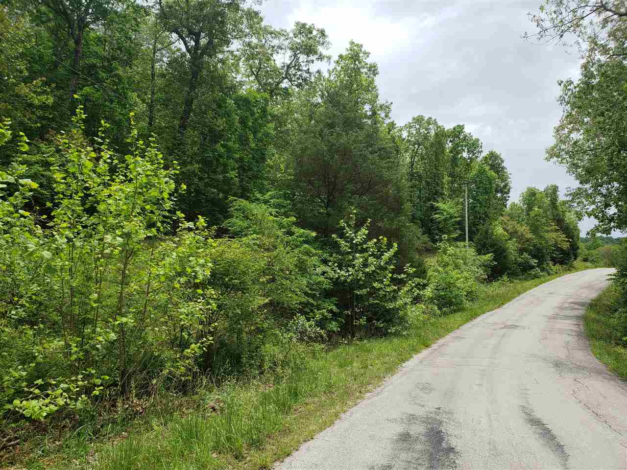 Photo 14 - Vacant Land for sale – L-27 B-5  Flathead   Cherokee Village, AR