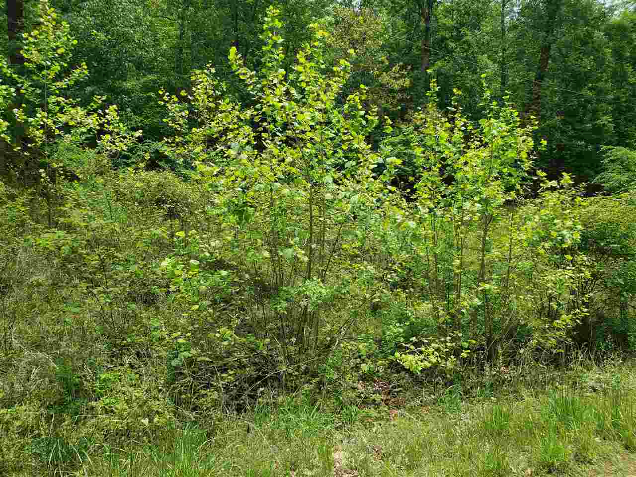 Photo 15 - Vacant Land for sale – L-27 B-5  Flathead   Cherokee Village, AR