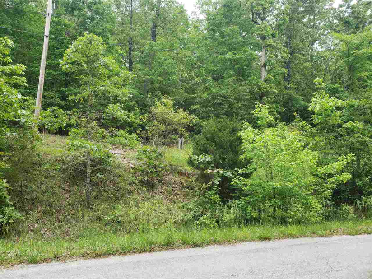 Photo 5 - Vacant Land for sale – L-27 B-5  Flathead   Cherokee Village, AR