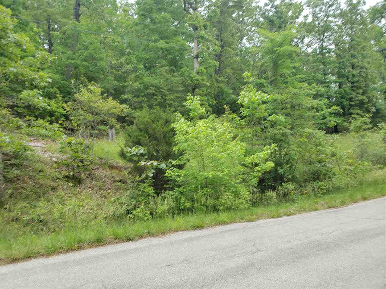 Photo 7 - Vacant Land for sale – L-27 B-5  Flathead   Cherokee Village, AR