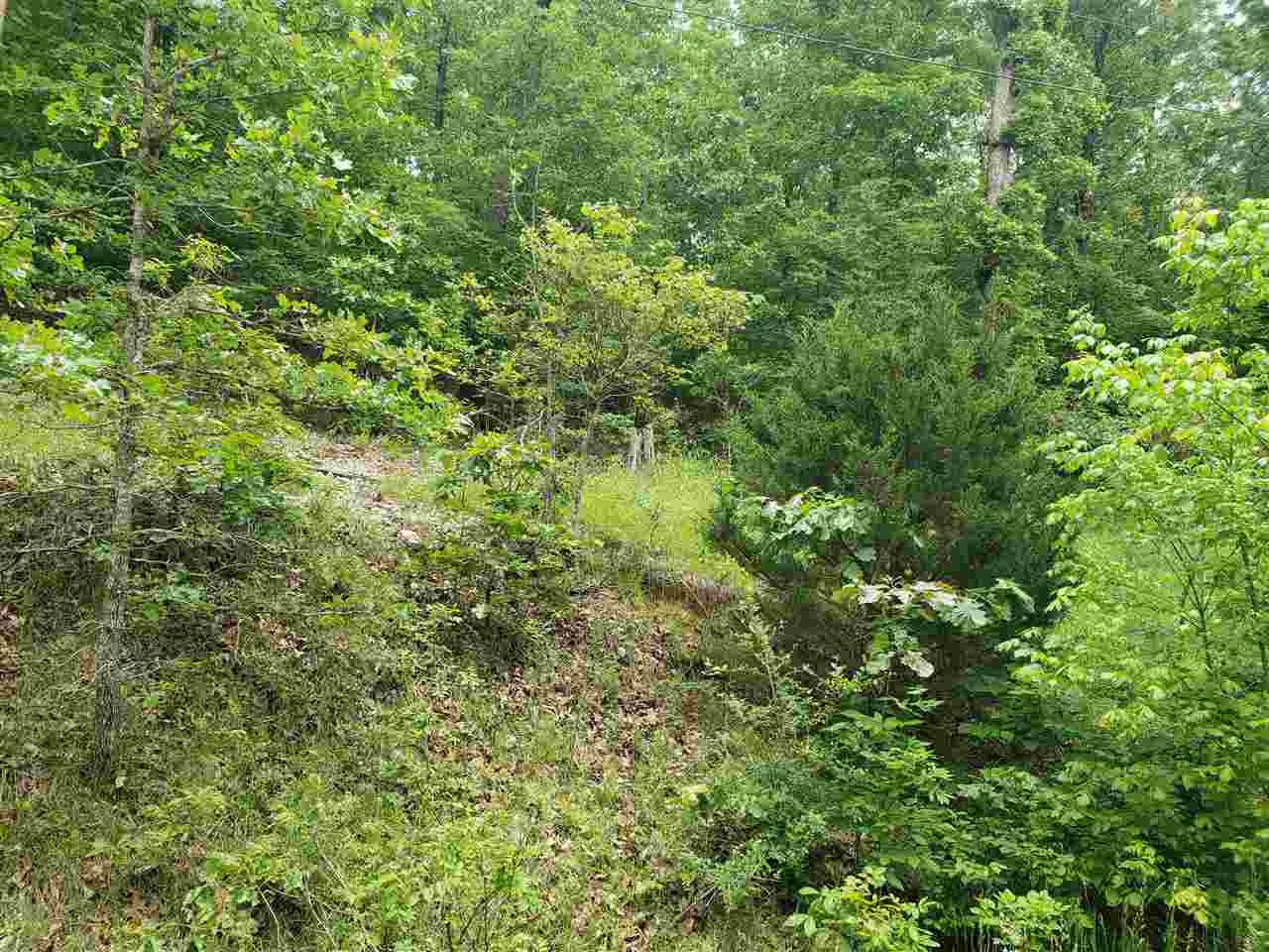 Photo 8 - Vacant Land for sale – L-27 B-5  Flathead   Cherokee Village, AR