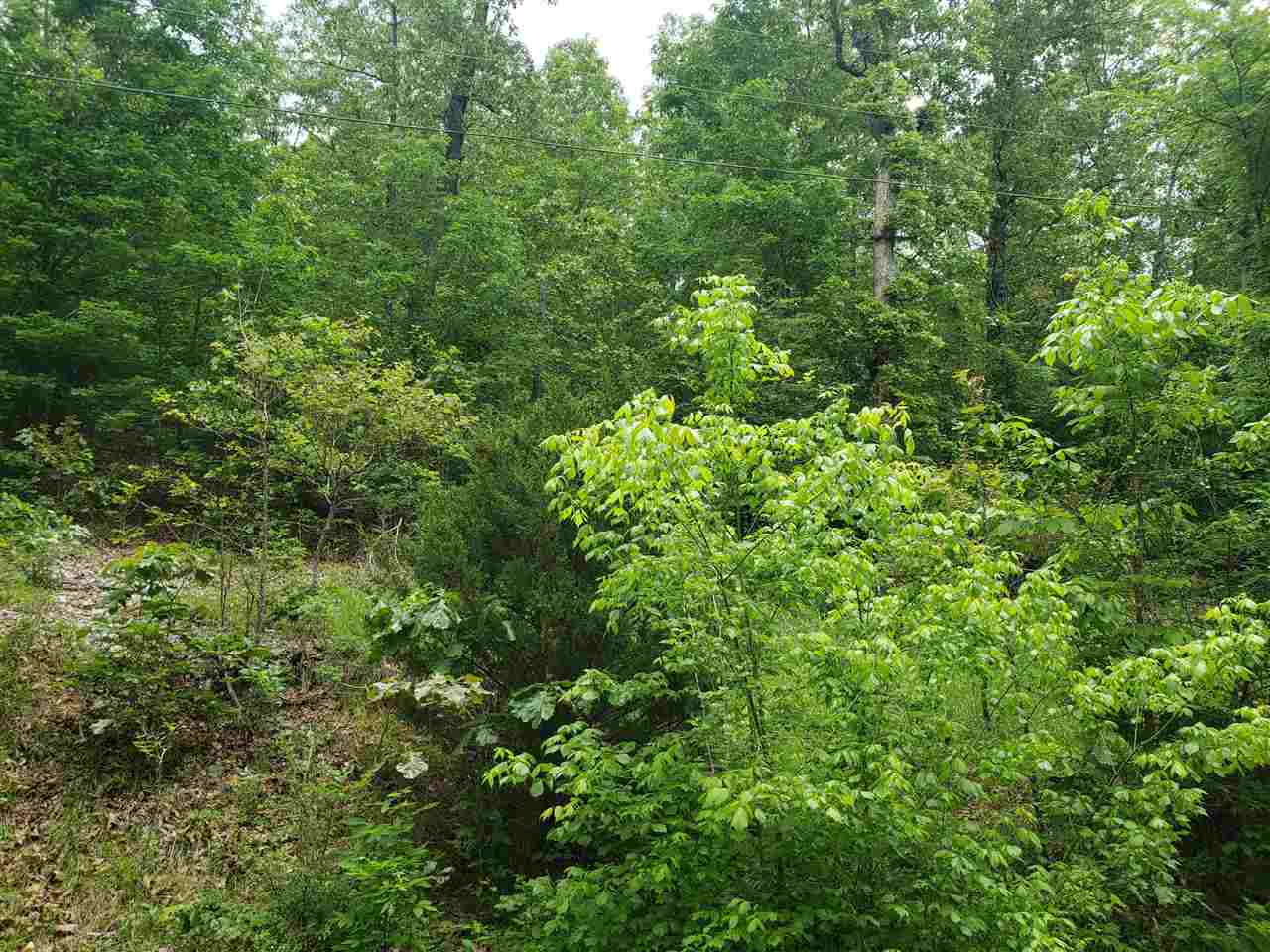 Photo 10 - Vacant Land for sale – L-27 B-5  Flathead   Cherokee Village, AR