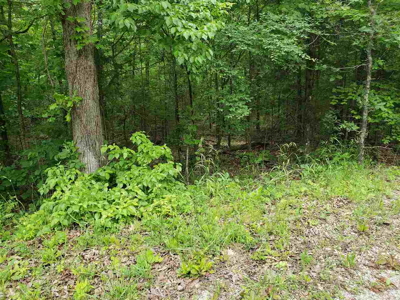 Vacant Land for sale – L-94 B5  Ouachita   Cherokee Village, AR