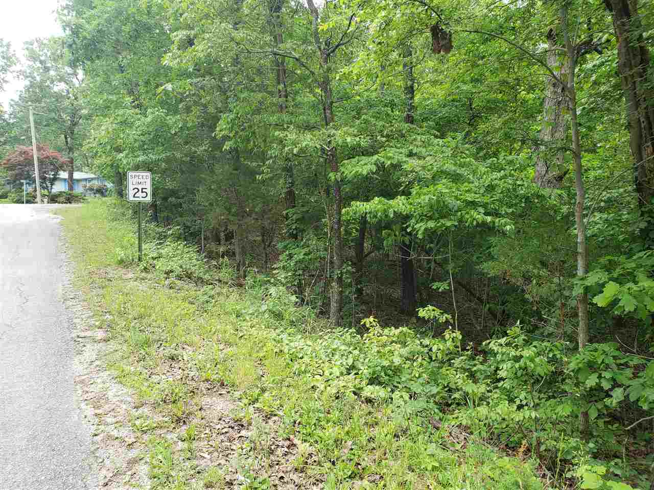 Photo 2 - Vacant Land for sale – L-94 B5  Ouachita   Cherokee Village, AR