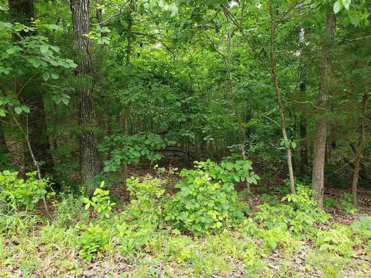 Photo 11 - Vacant Land for sale – L-94 B5  Ouachita   Cherokee Village, AR