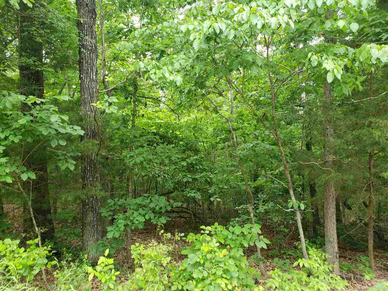Photo 12 - Vacant Land for sale – L-94 B5  Ouachita   Cherokee Village, AR