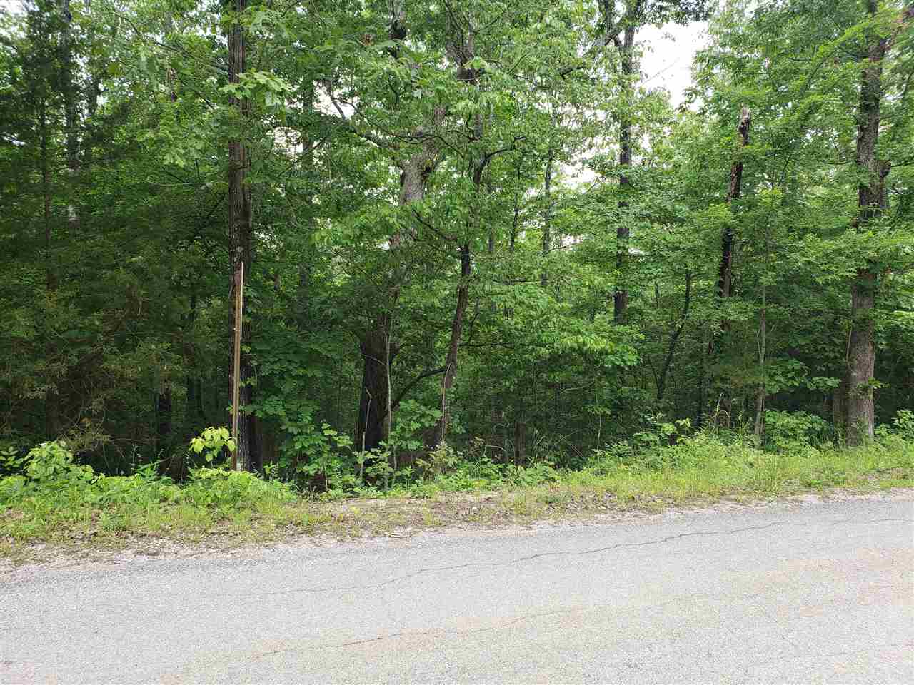 Photo 13 - Vacant Land for sale – L-94 B5  Ouachita   Cherokee Village, AR