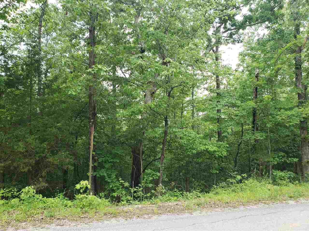 Photo 14 - Vacant Land for sale – L-94 B5  Ouachita   Cherokee Village, AR