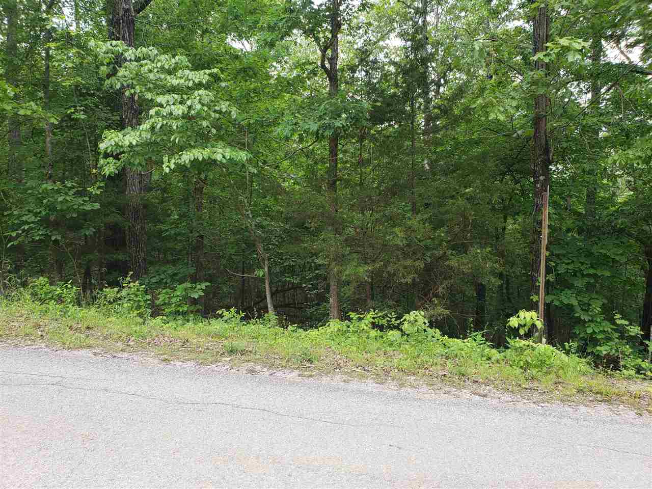 Photo 15 - Vacant Land for sale – L-94 B5  Ouachita   Cherokee Village, AR