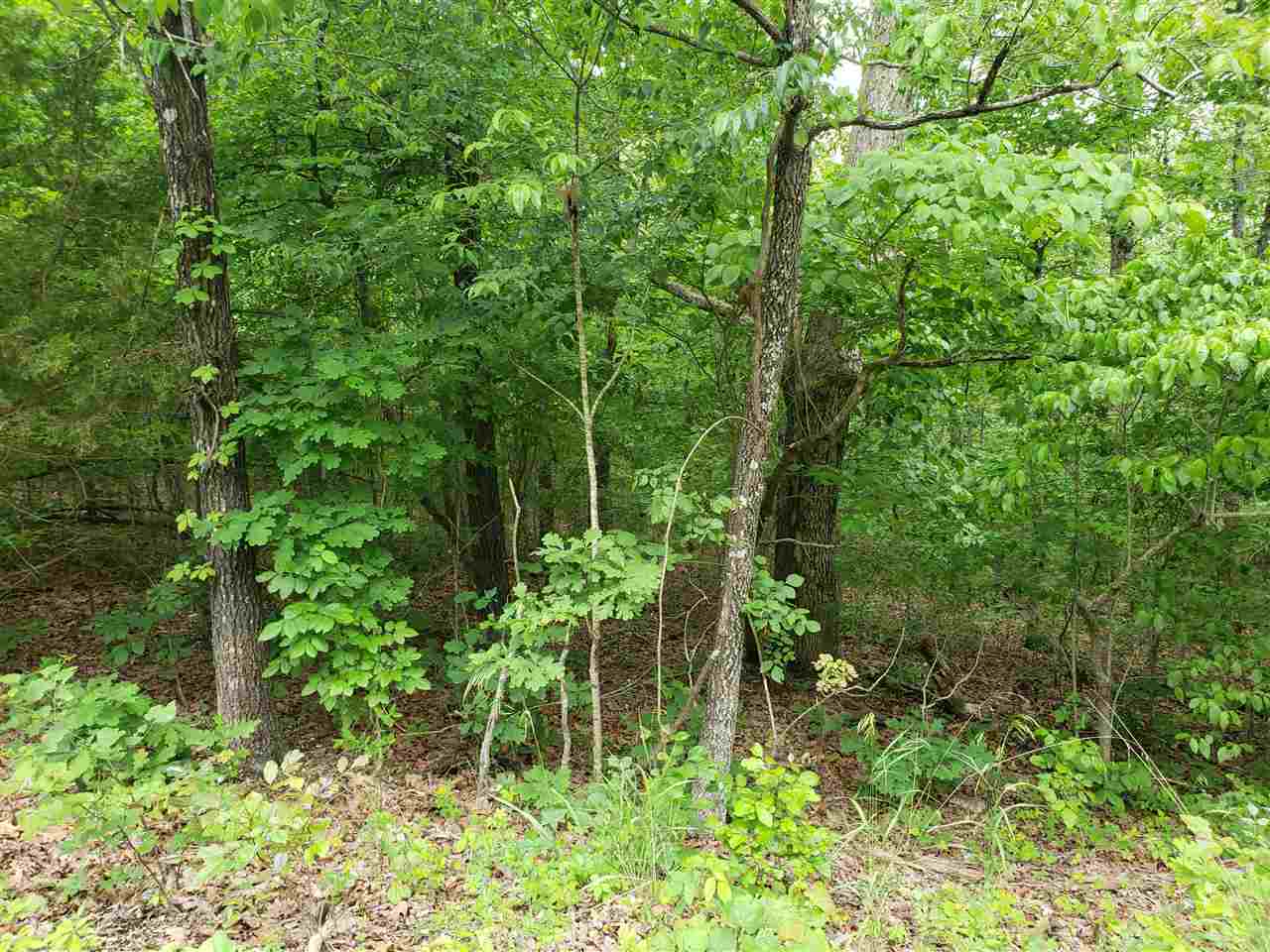 Photo 16 - Vacant Land for sale – L-94 B5  Ouachita   Cherokee Village, AR
