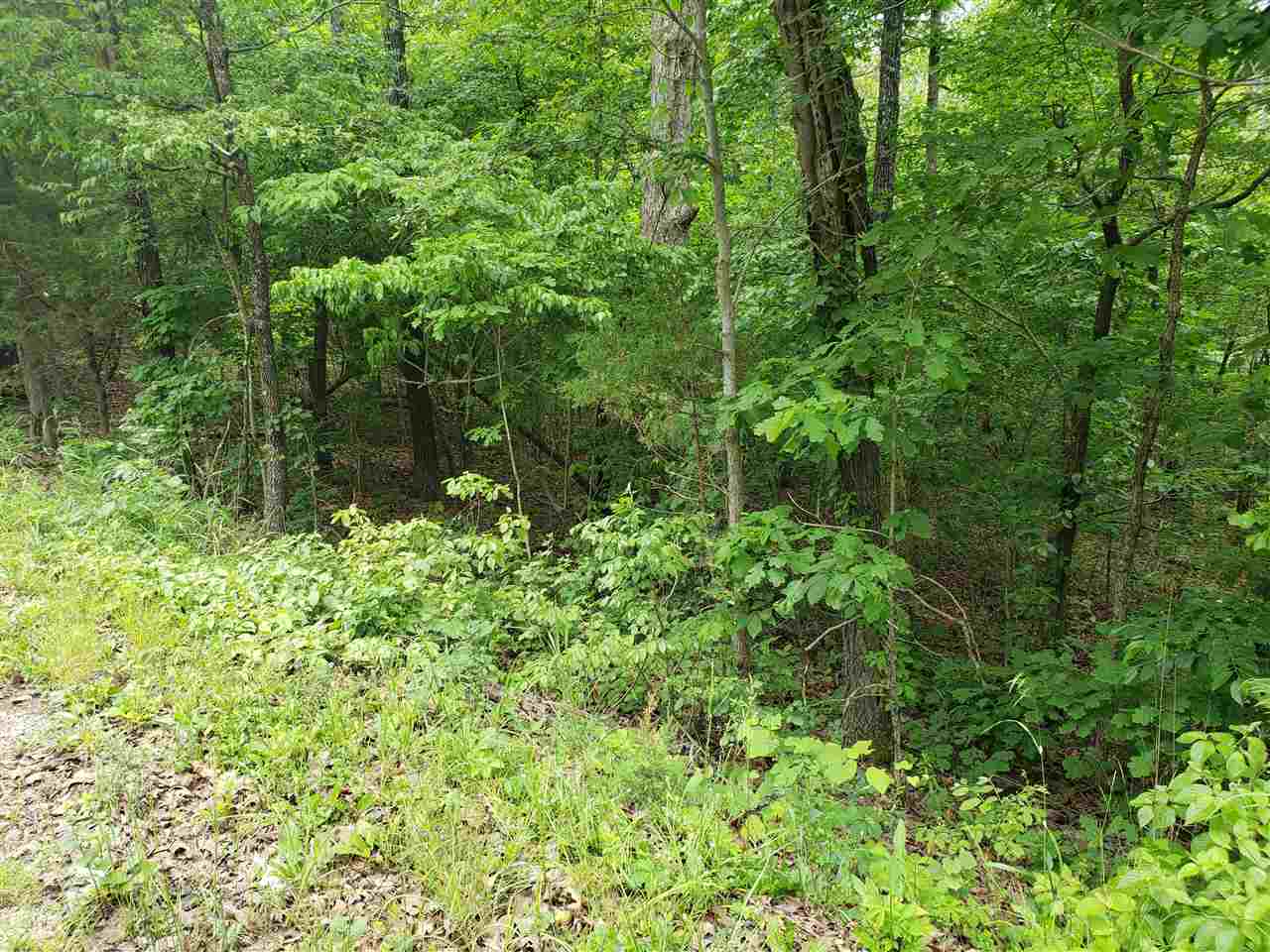 Photo 3 - Vacant Land for sale – L-94 B5  Ouachita   Cherokee Village, AR