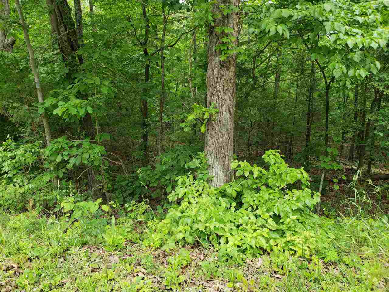 Photo 4 - Vacant Land for sale – L-94 B5  Ouachita   Cherokee Village, AR