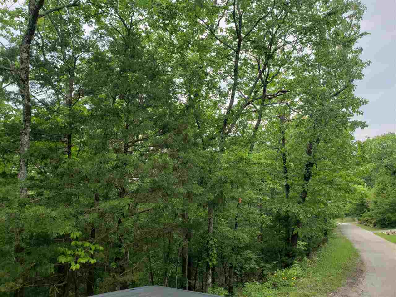 Photo 8 - Vacant Land for sale – L-94 B5  Ouachita   Cherokee Village, AR