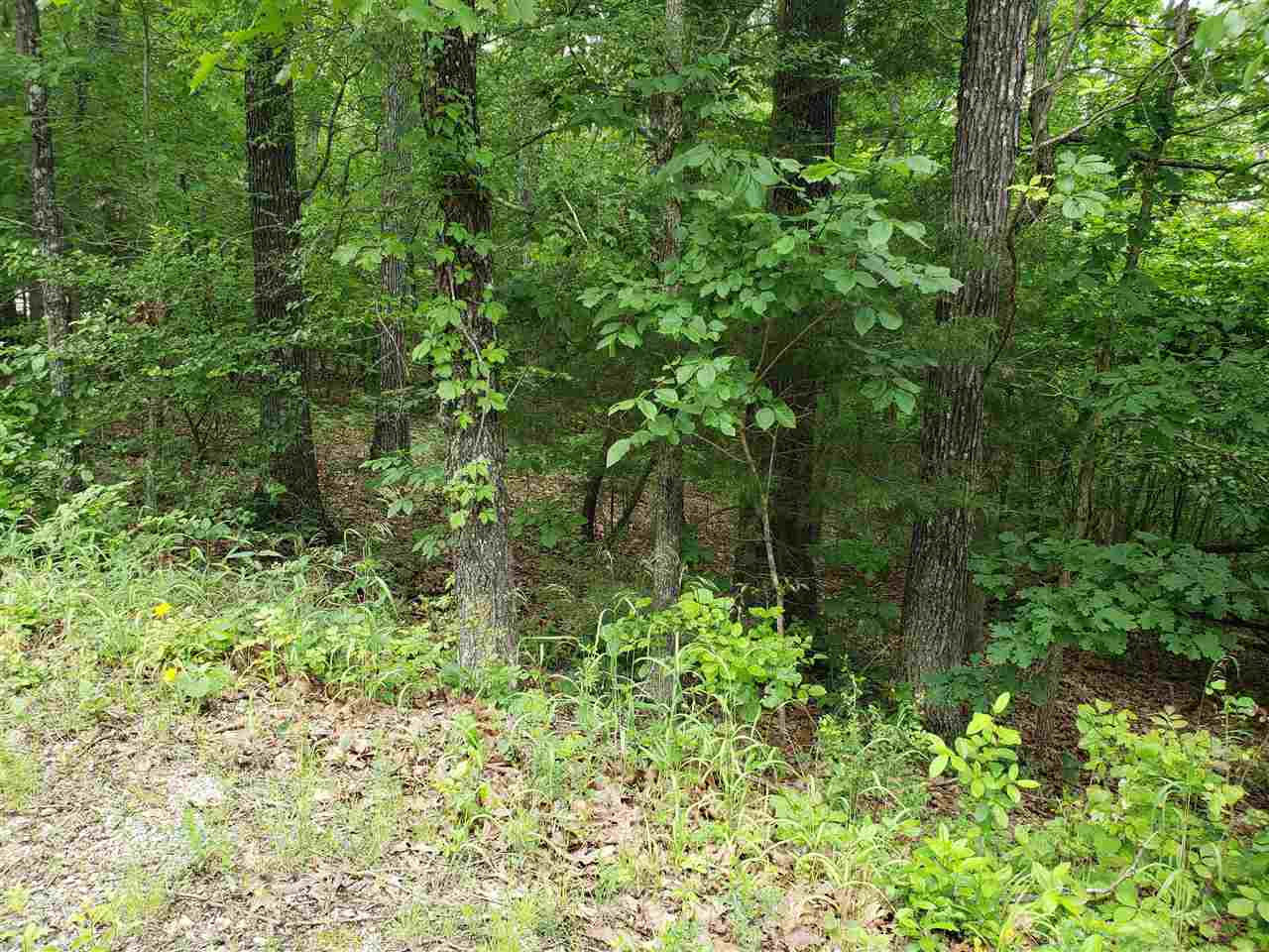 Photo 9 - Vacant Land for sale – L-94 B5  Ouachita   Cherokee Village, AR
