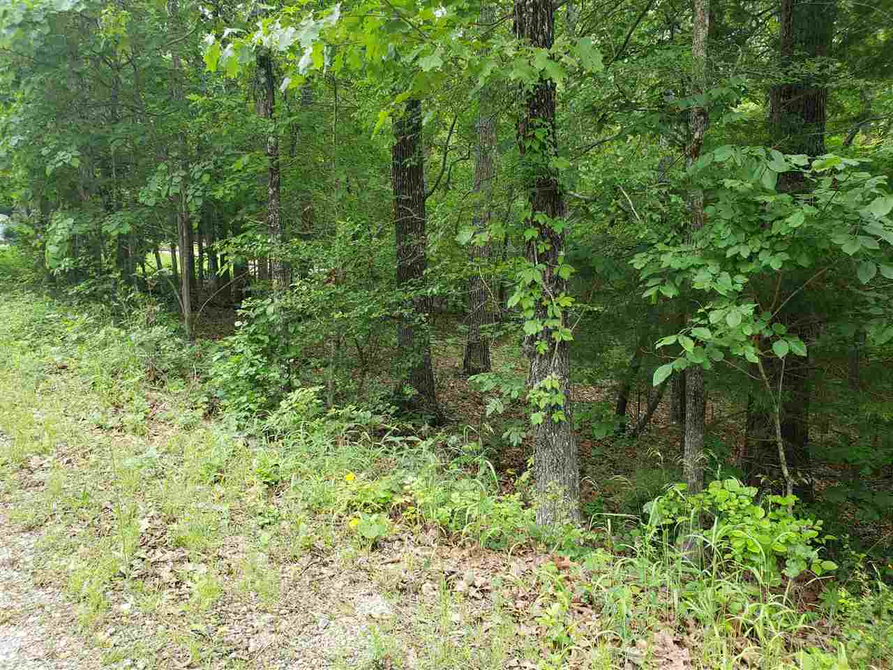 Photo 10 - Vacant Land for sale – L-94 B5  Ouachita   Cherokee Village, AR