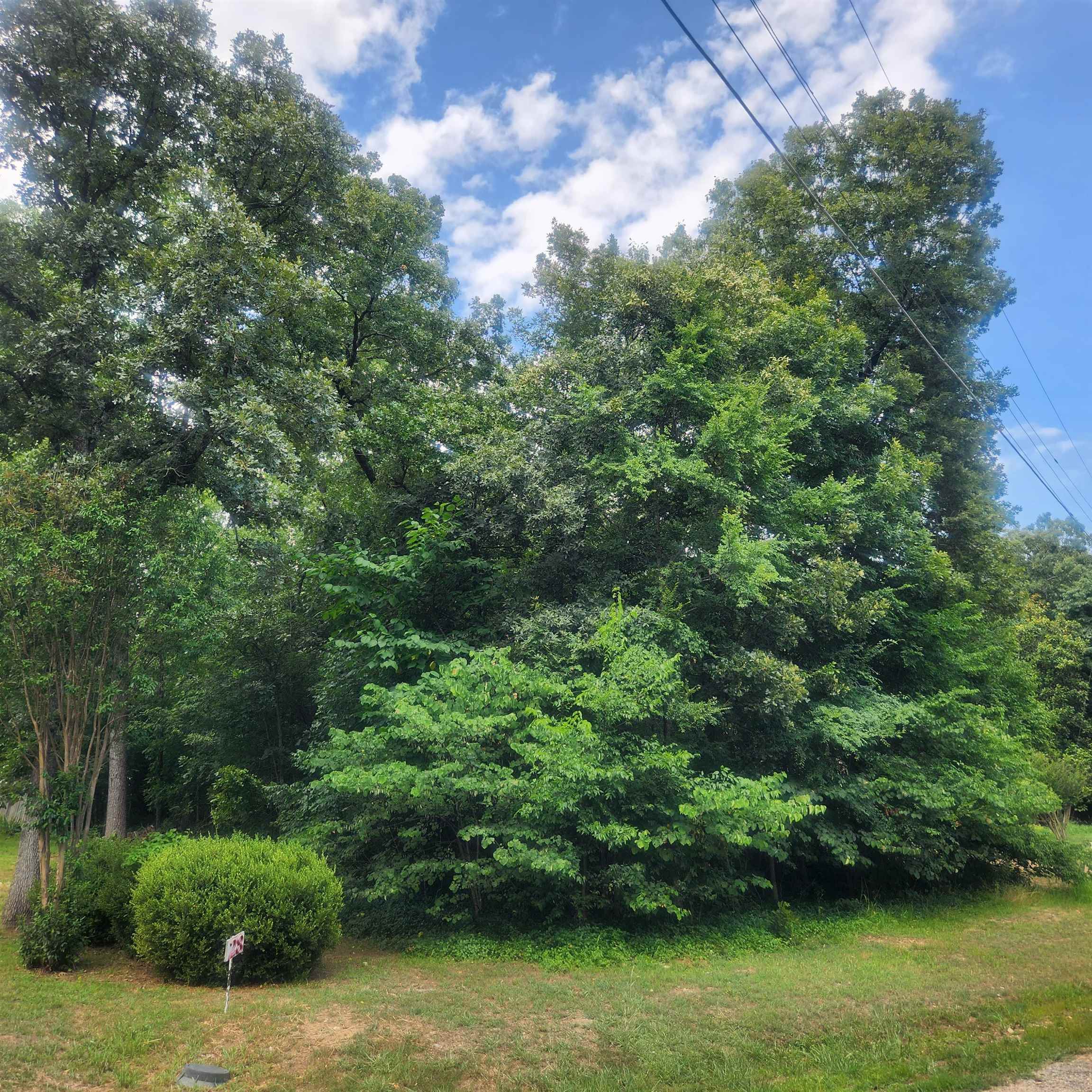 Vacant Land for sale – L-36, B-14  Cochise   Cherokee Village, AR