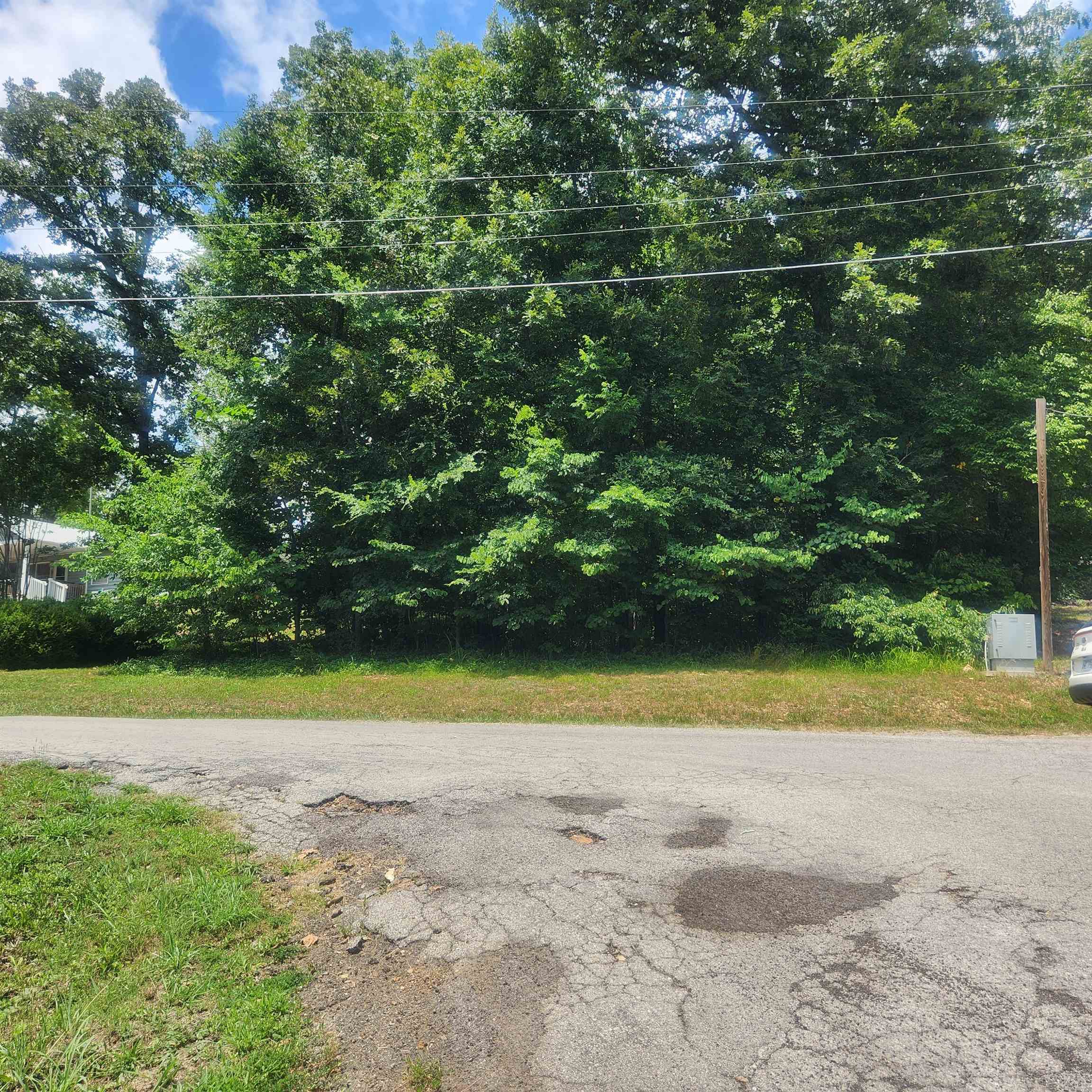 Photo 2 - Vacant Land for sale – L-36, B-14  Cochise   Cherokee Village, AR