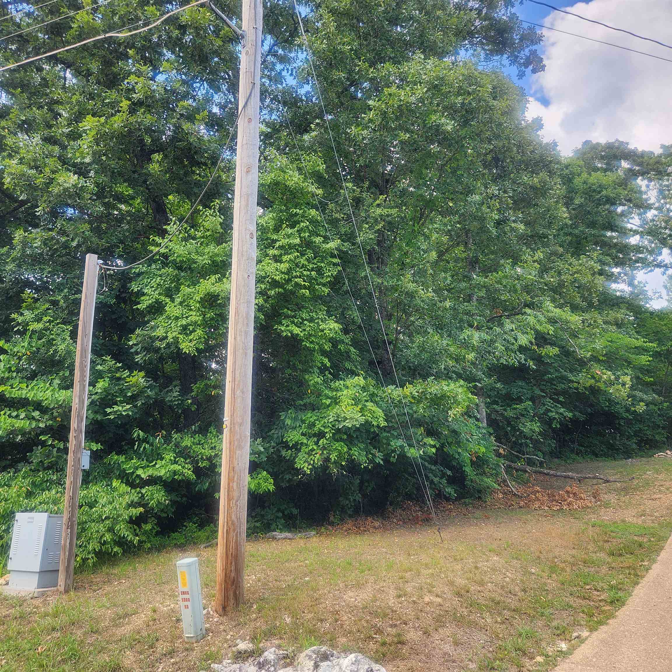 Photo 11 - Vacant Land for sale – L-36, B-14  Cochise   Cherokee Village, AR