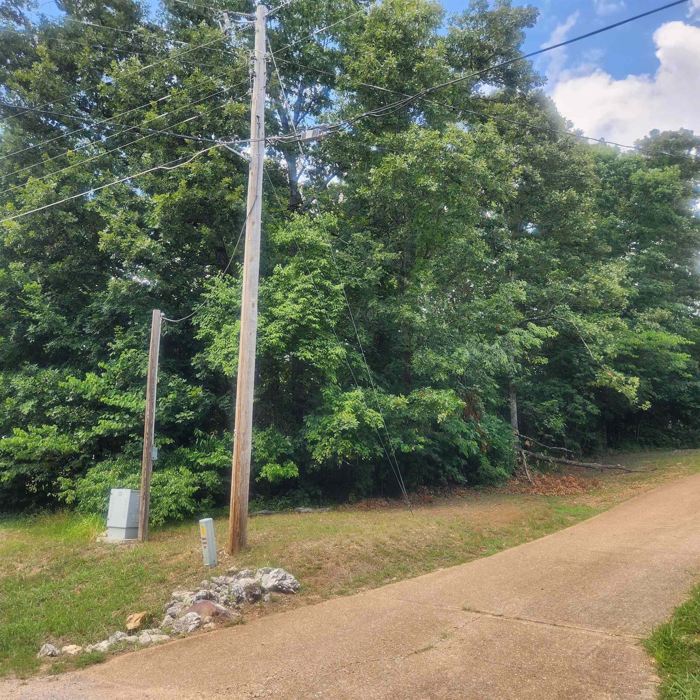 Photo 12 - Vacant Land for sale – L-36, B-14  Cochise   Cherokee Village, AR