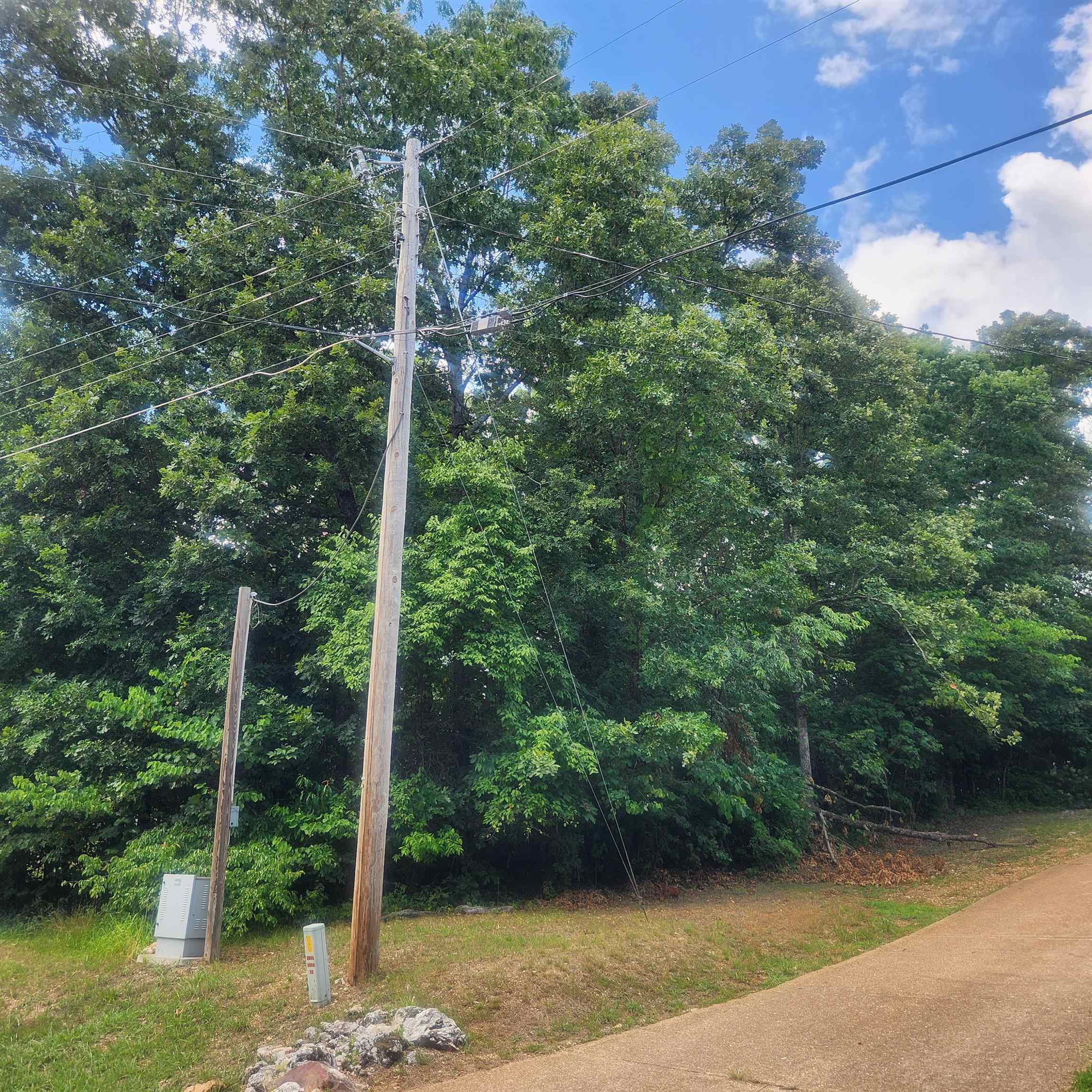 Photo 13 - Vacant Land for sale – L-36, B-14  Cochise   Cherokee Village, AR