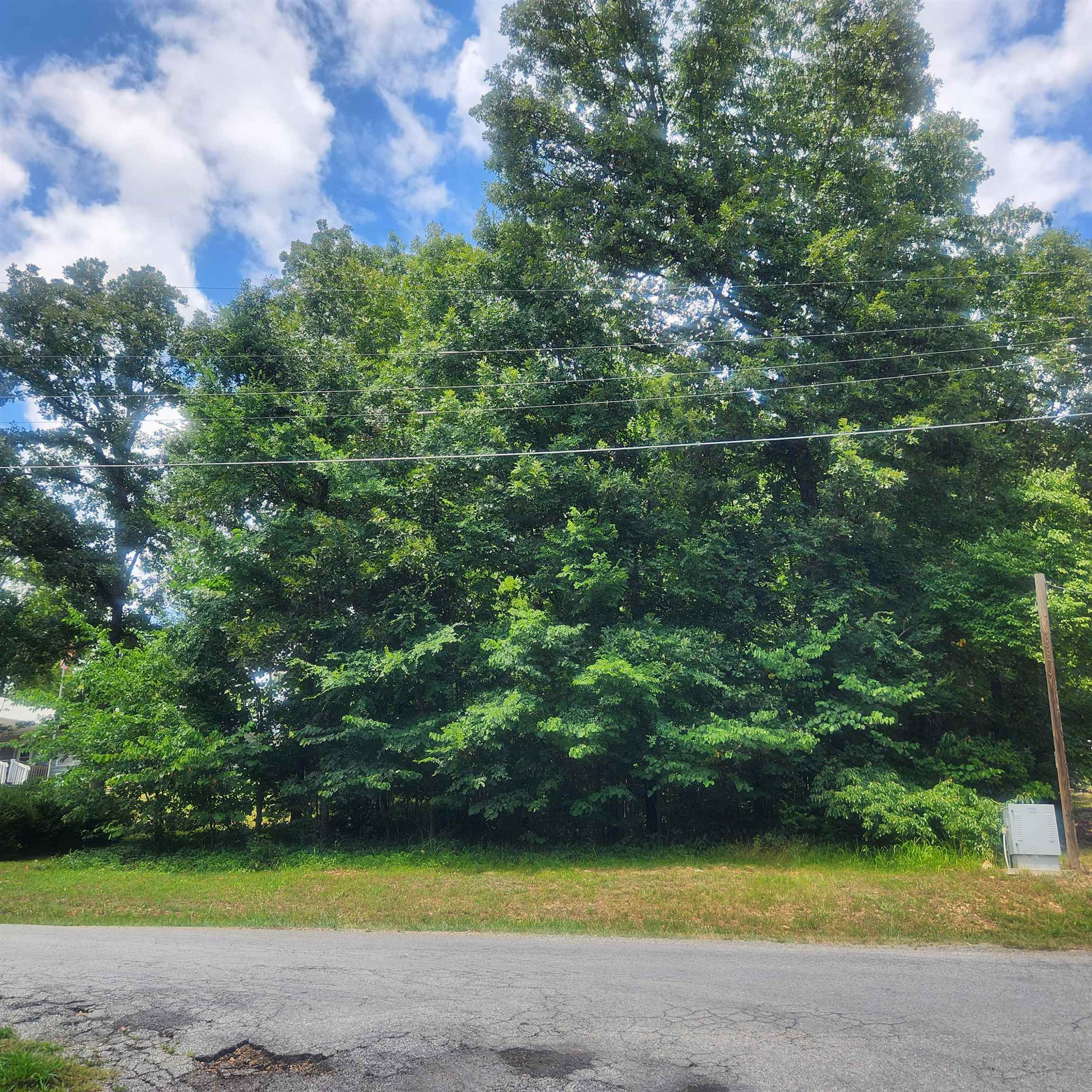 Photo 3 - Vacant Land for sale – L-36, B-14  Cochise   Cherokee Village, AR