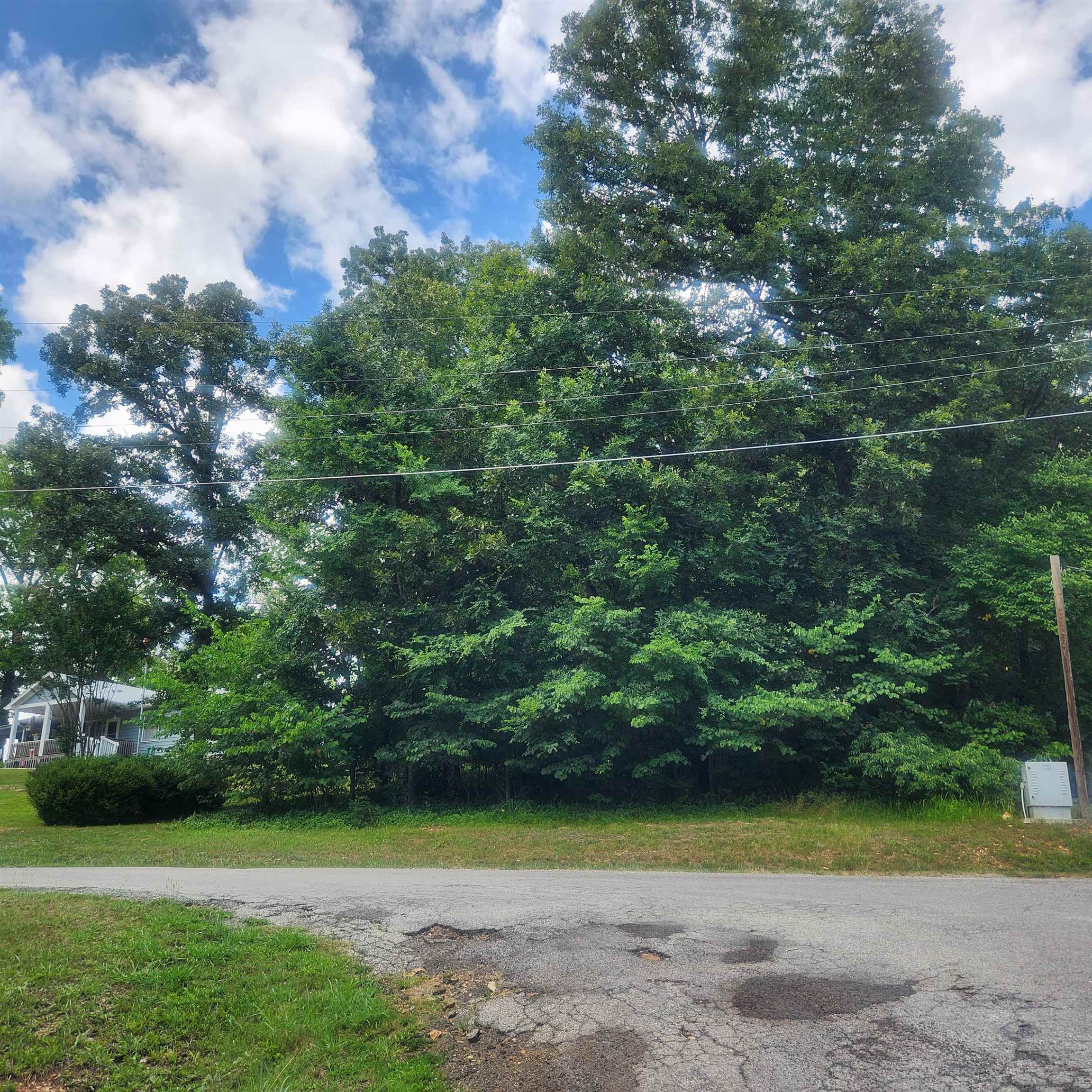 Photo 4 - Vacant Land for sale – L-36, B-14  Cochise   Cherokee Village, AR