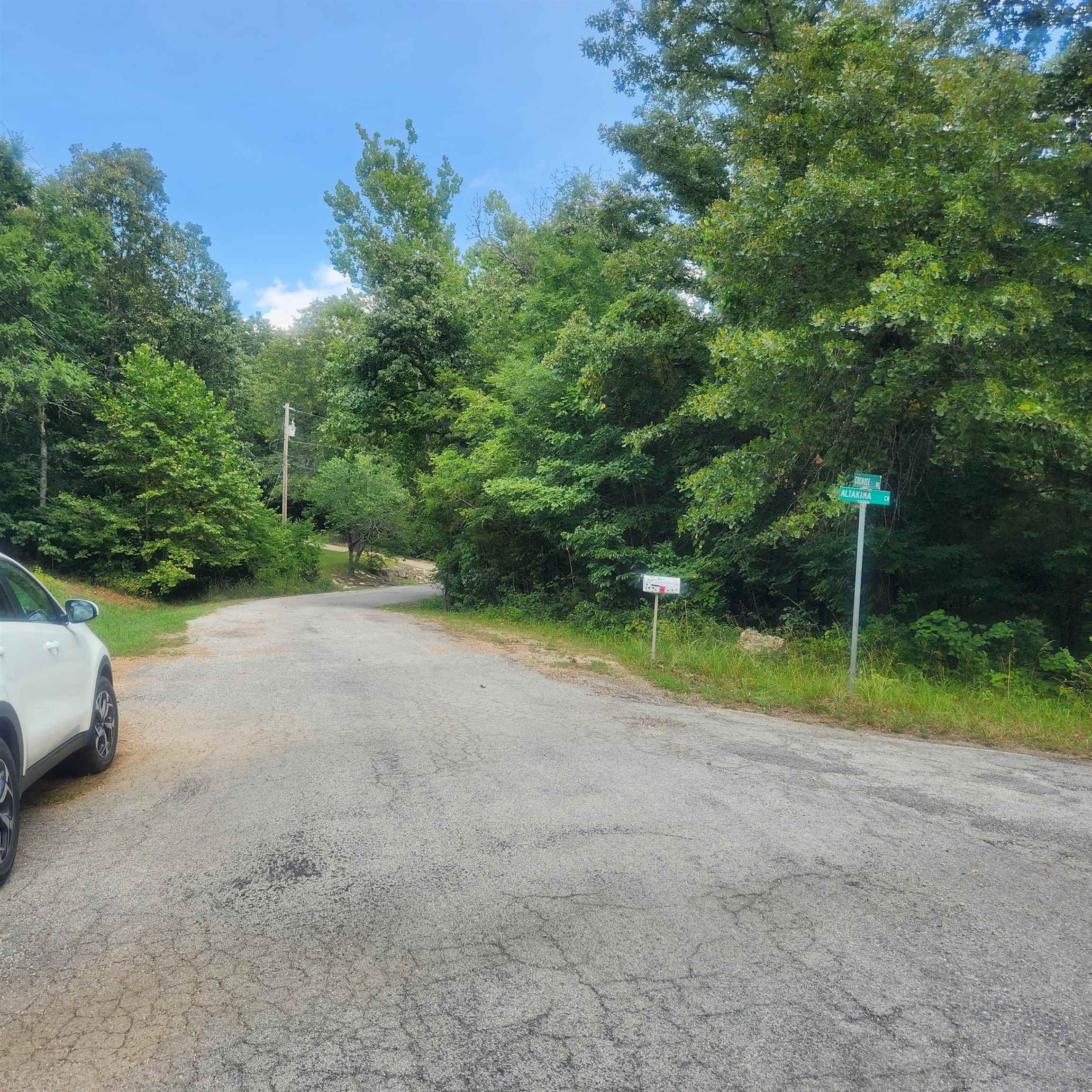 Photo 6 - Vacant Land for sale – L-36, B-14  Cochise   Cherokee Village, AR