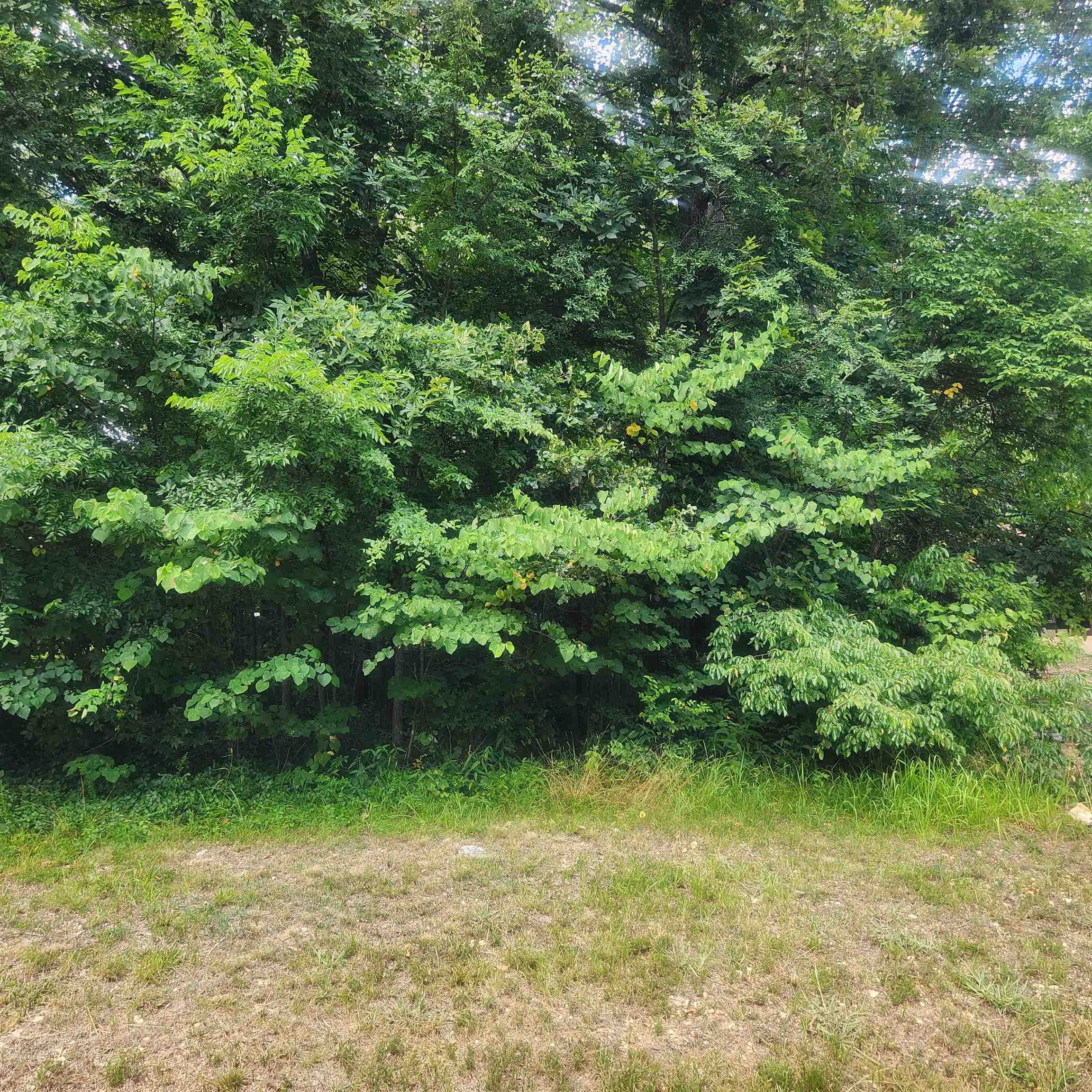 Photo 7 - Vacant Land for sale – L-36, B-14  Cochise   Cherokee Village, AR