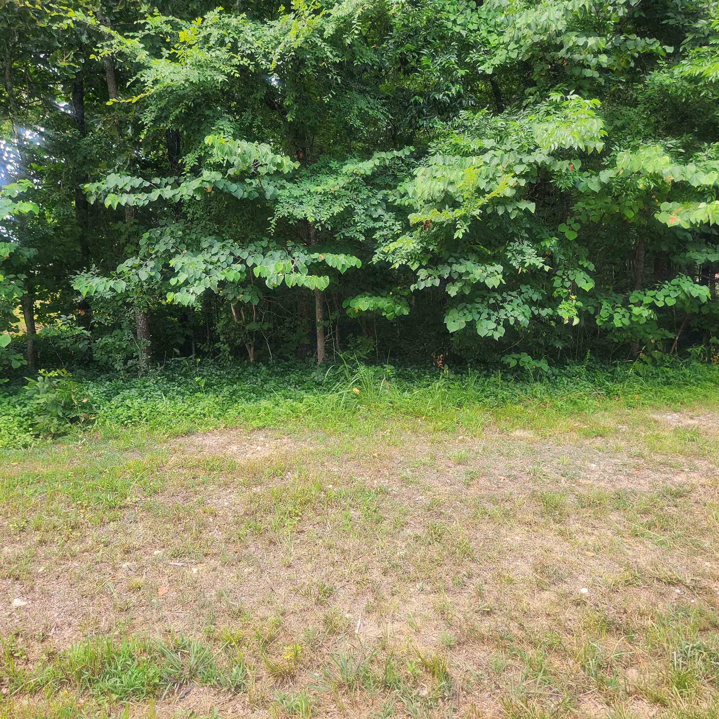 Photo 8 - Vacant Land for sale – L-36, B-14  Cochise   Cherokee Village, AR