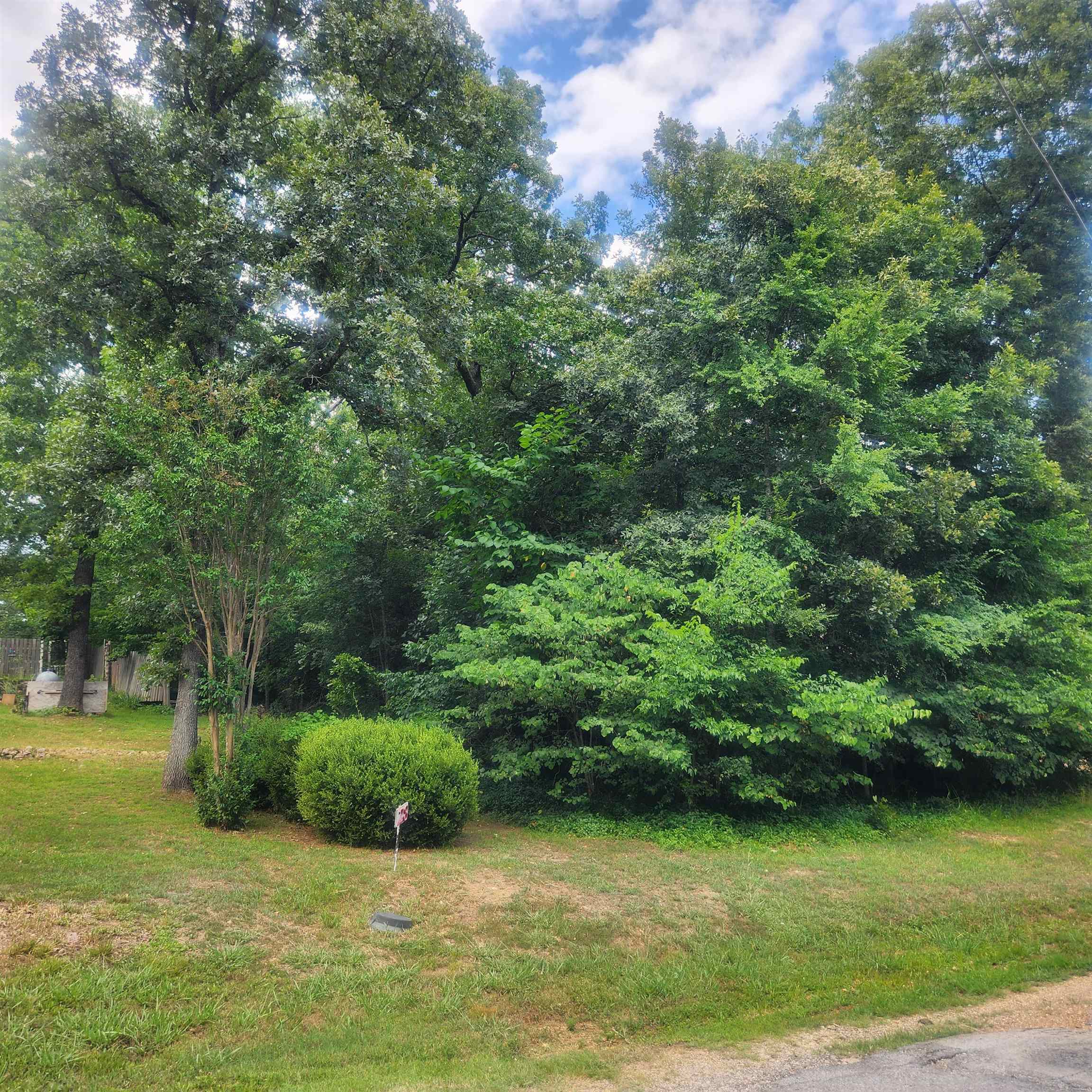 Photo 9 - Vacant Land for sale – L-36, B-14  Cochise   Cherokee Village, AR