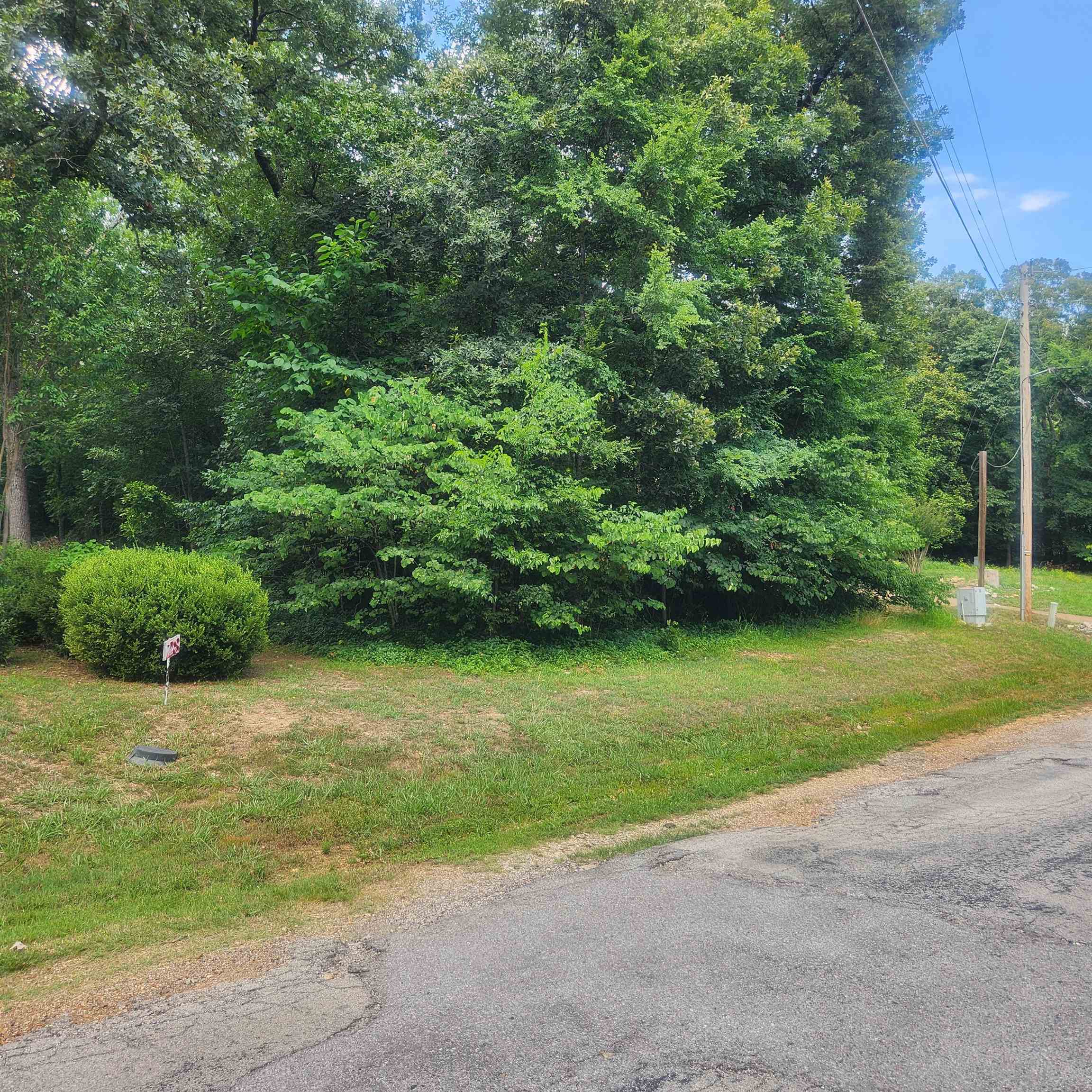 Photo 10 - Vacant Land for sale – L-36, B-14  Cochise   Cherokee Village, AR