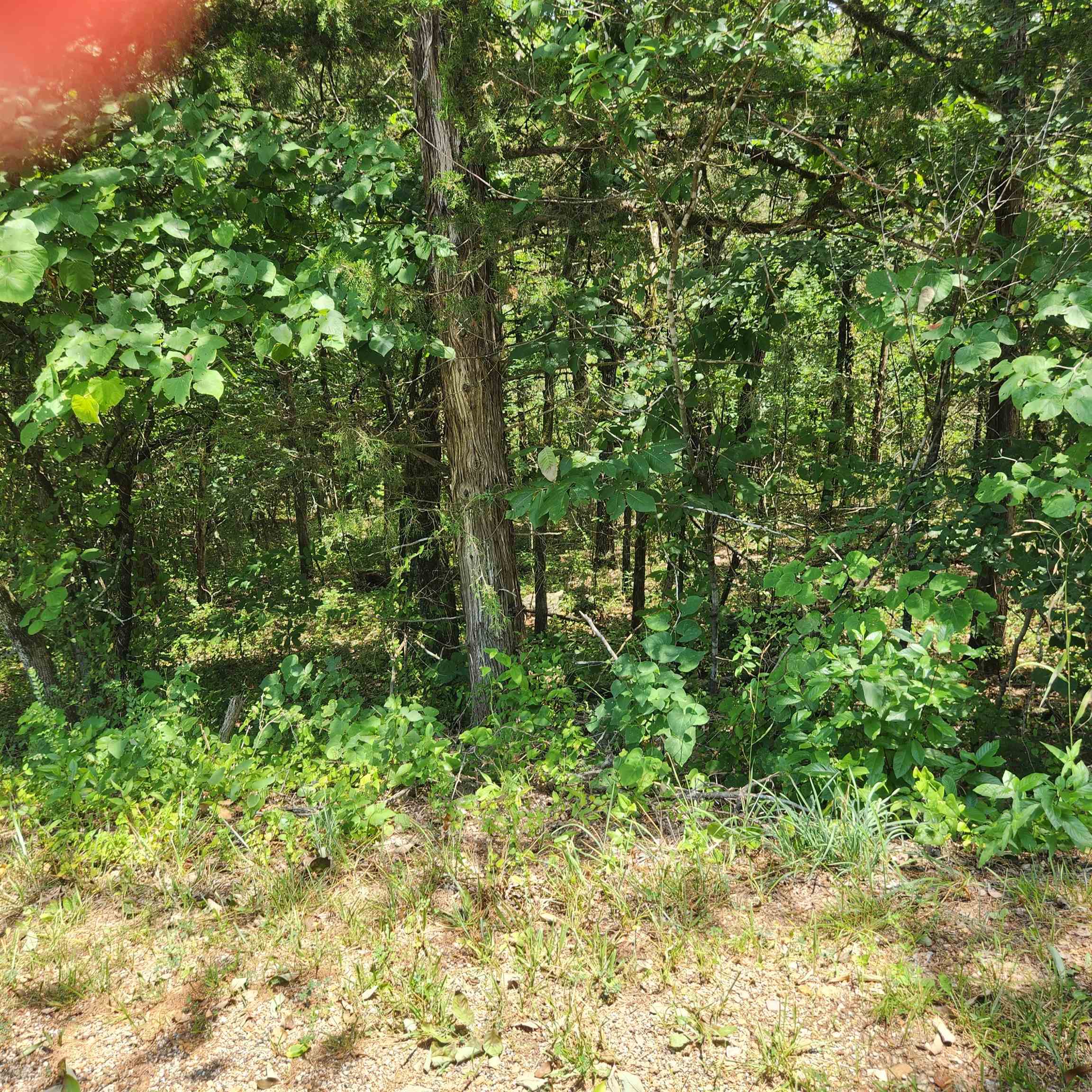 Vacant Land for sale – L-25, B-13A  Altakima   Cherokee Village, AR