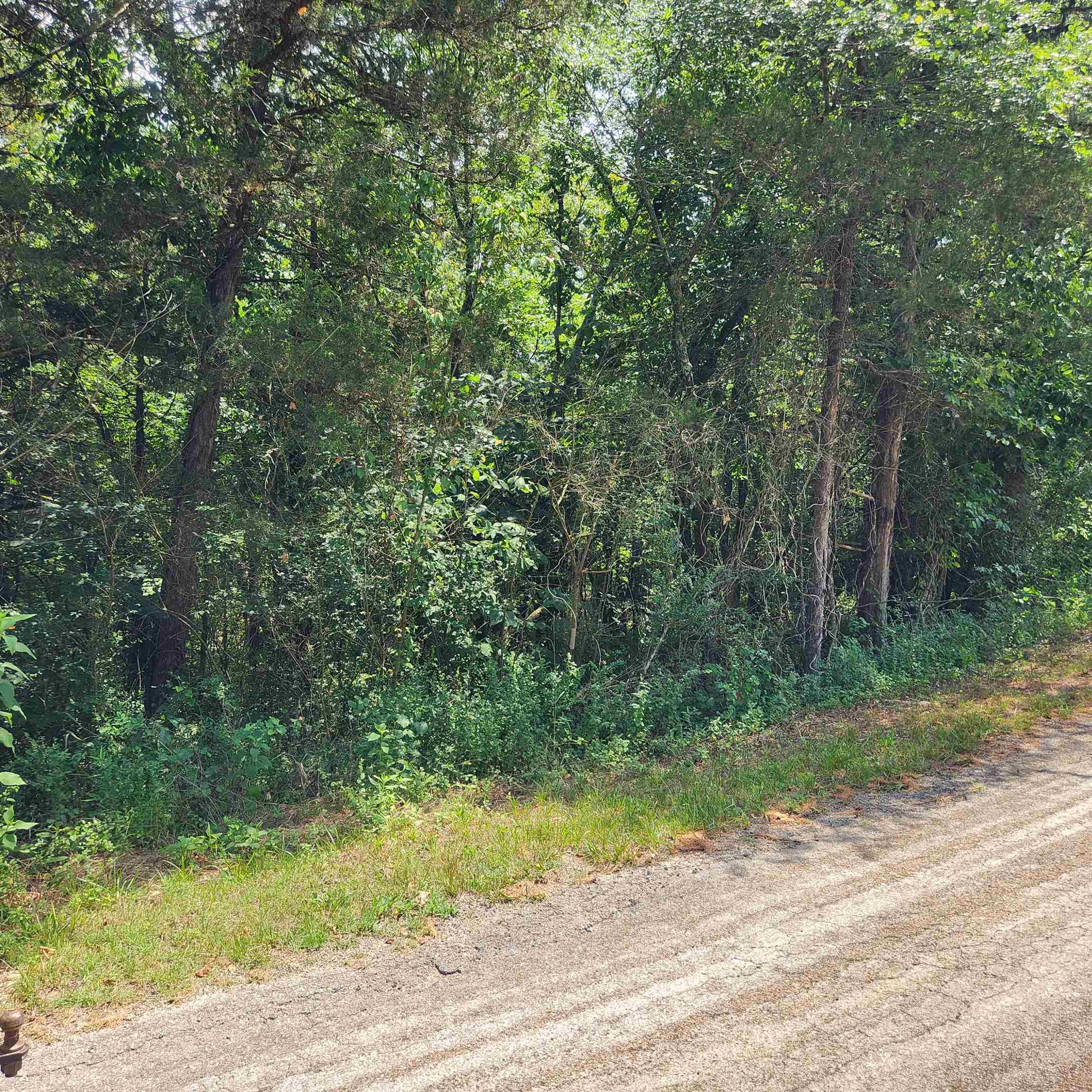 Photo 11 - Vacant Land for sale – L-25, B-13A  Altakima   Cherokee Village, AR