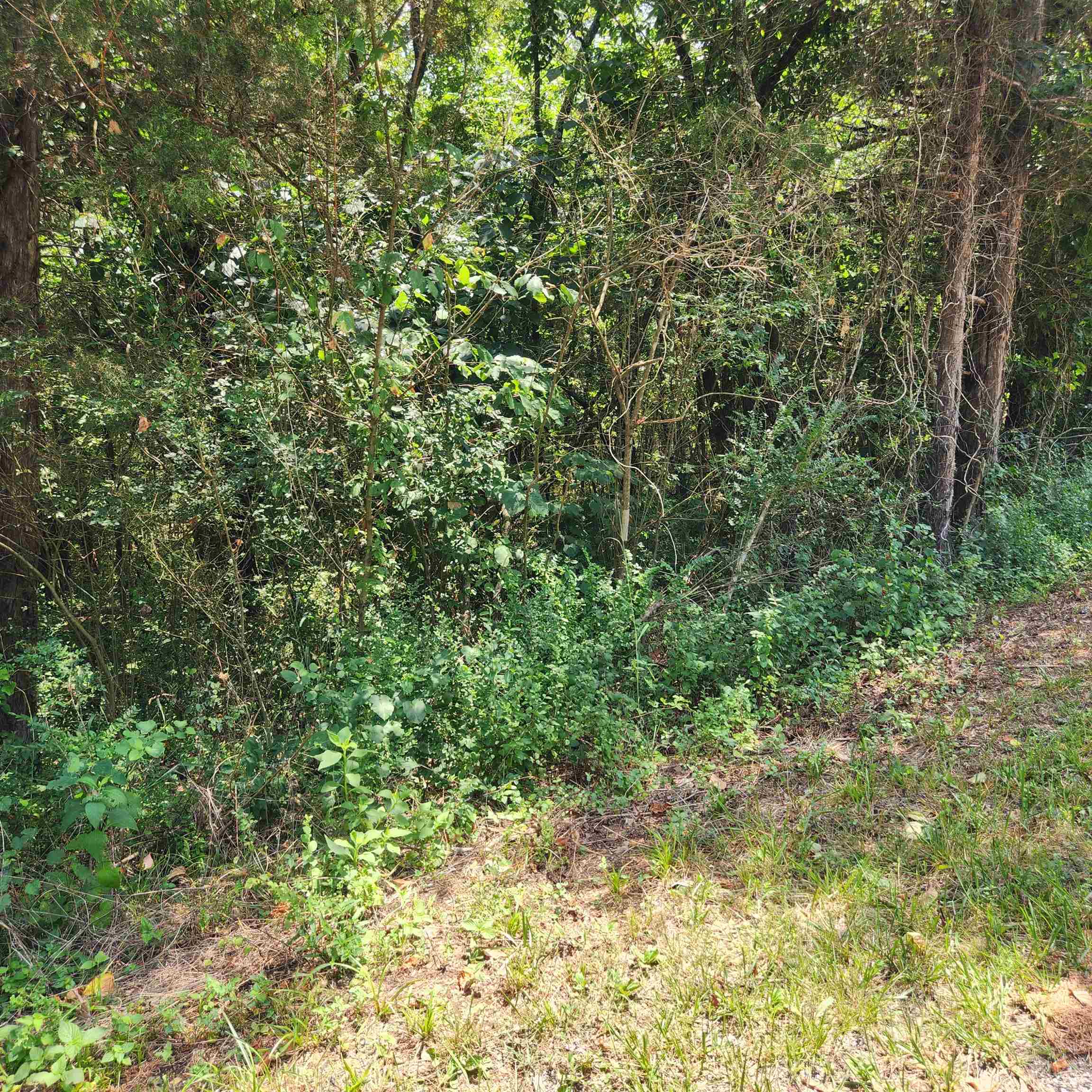 Photo 12 - Vacant Land for sale – L-25, B-13A  Altakima   Cherokee Village, AR