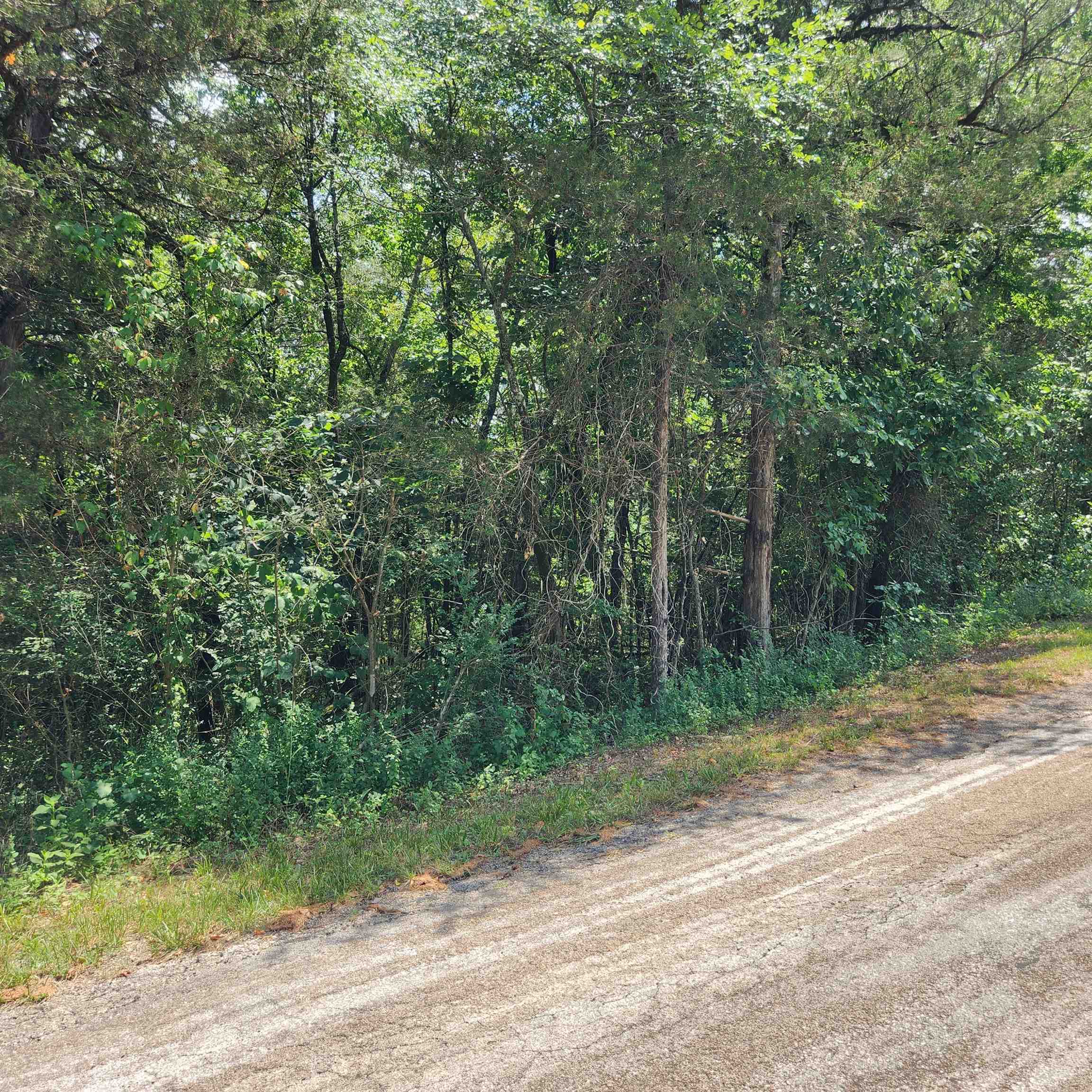 Photo 14 - Vacant Land for sale – L-25, B-13A  Altakima   Cherokee Village, AR