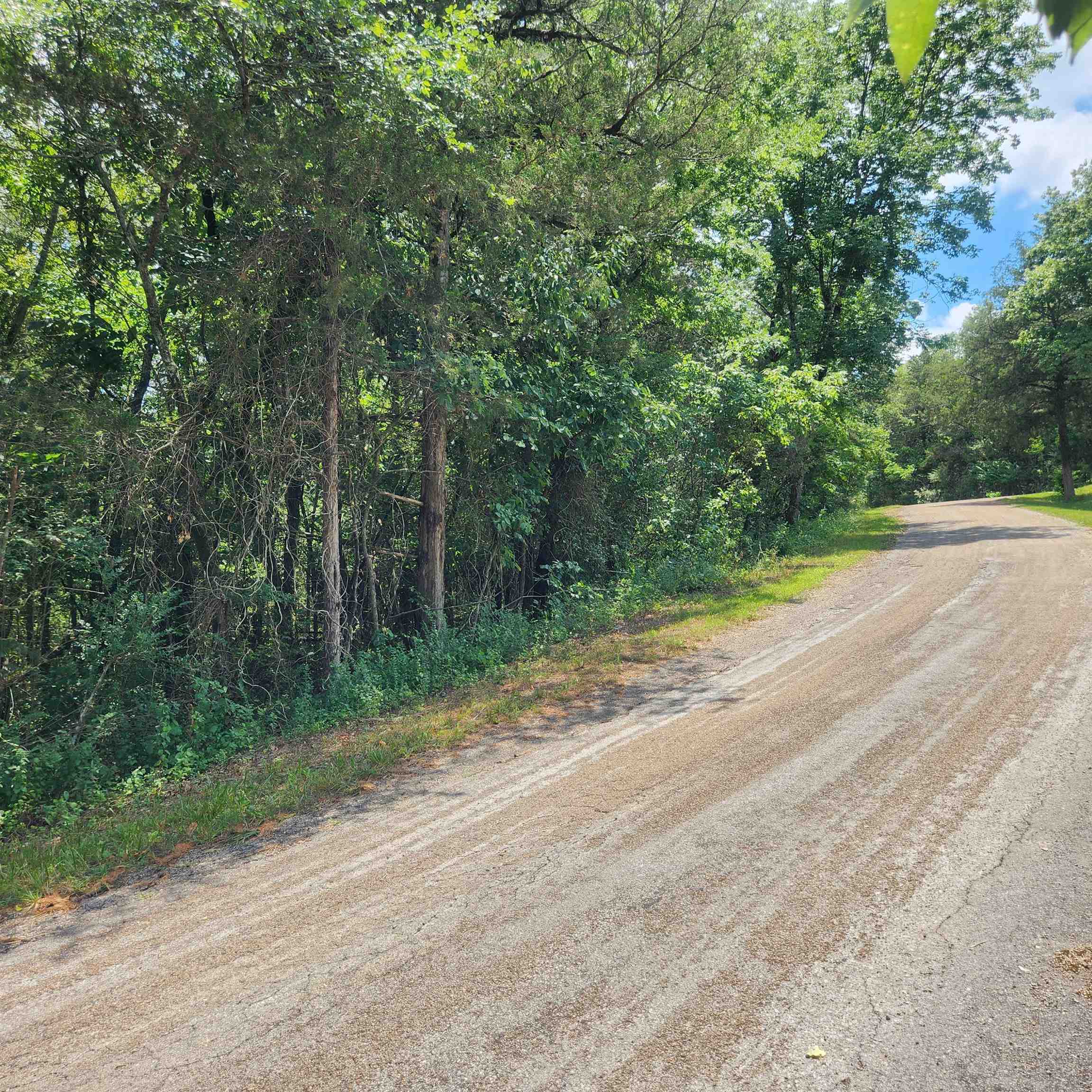 Photo 15 - Vacant Land for sale – L-25, B-13A  Altakima   Cherokee Village, AR