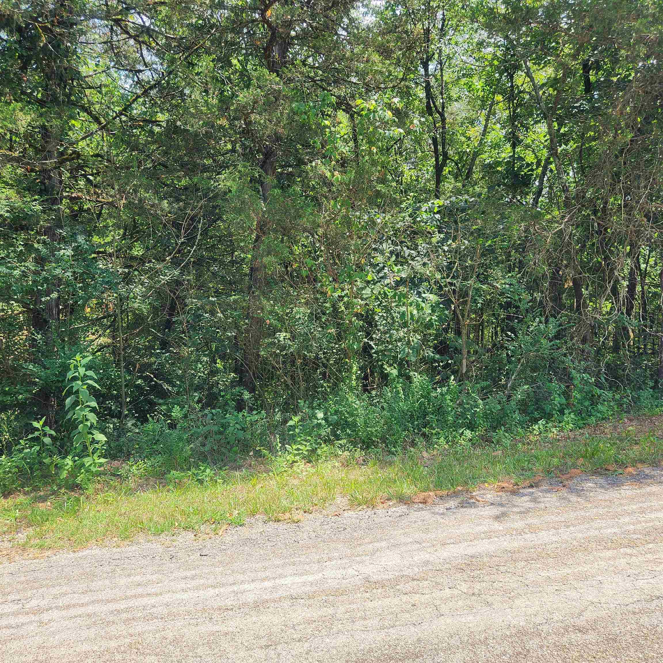 Photo 16 - Vacant Land for sale – L-25, B-13A  Altakima   Cherokee Village, AR