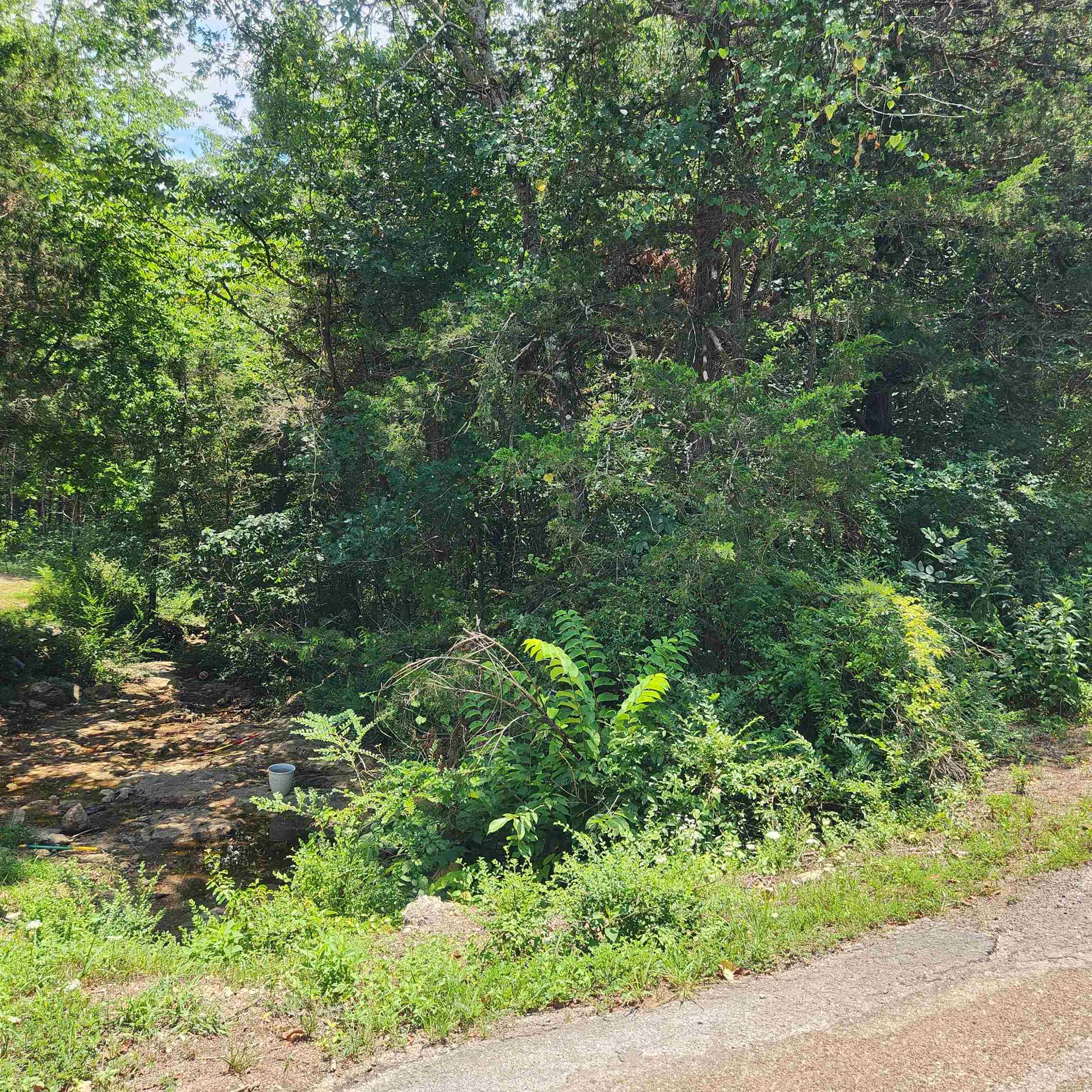 Photo 17 - Vacant Land for sale – L-25, B-13A  Altakima   Cherokee Village, AR