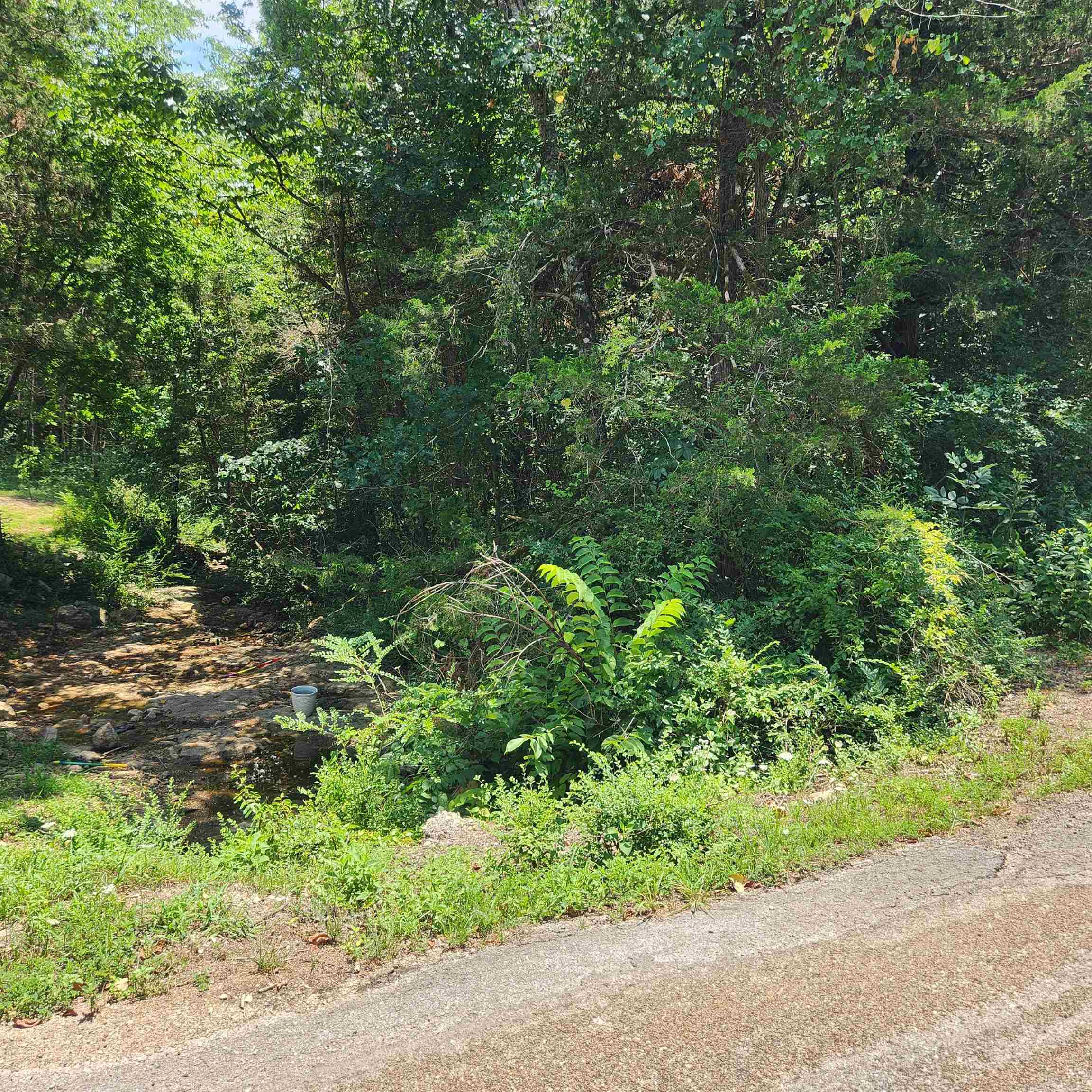 Photo 18 - Vacant Land for sale – L-25, B-13A  Altakima   Cherokee Village, AR