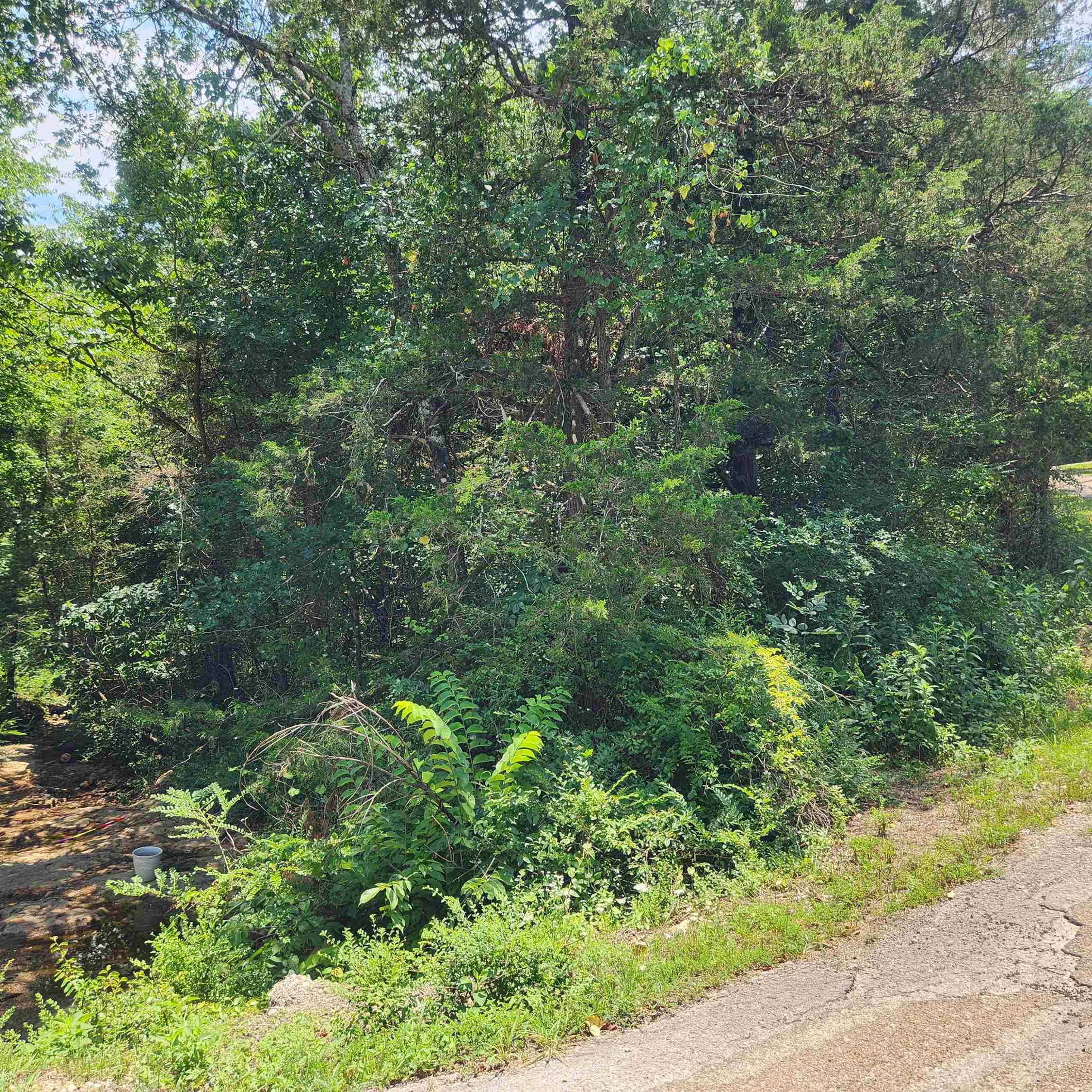 Photo 19 - Vacant Land for sale – L-25, B-13A  Altakima   Cherokee Village, AR