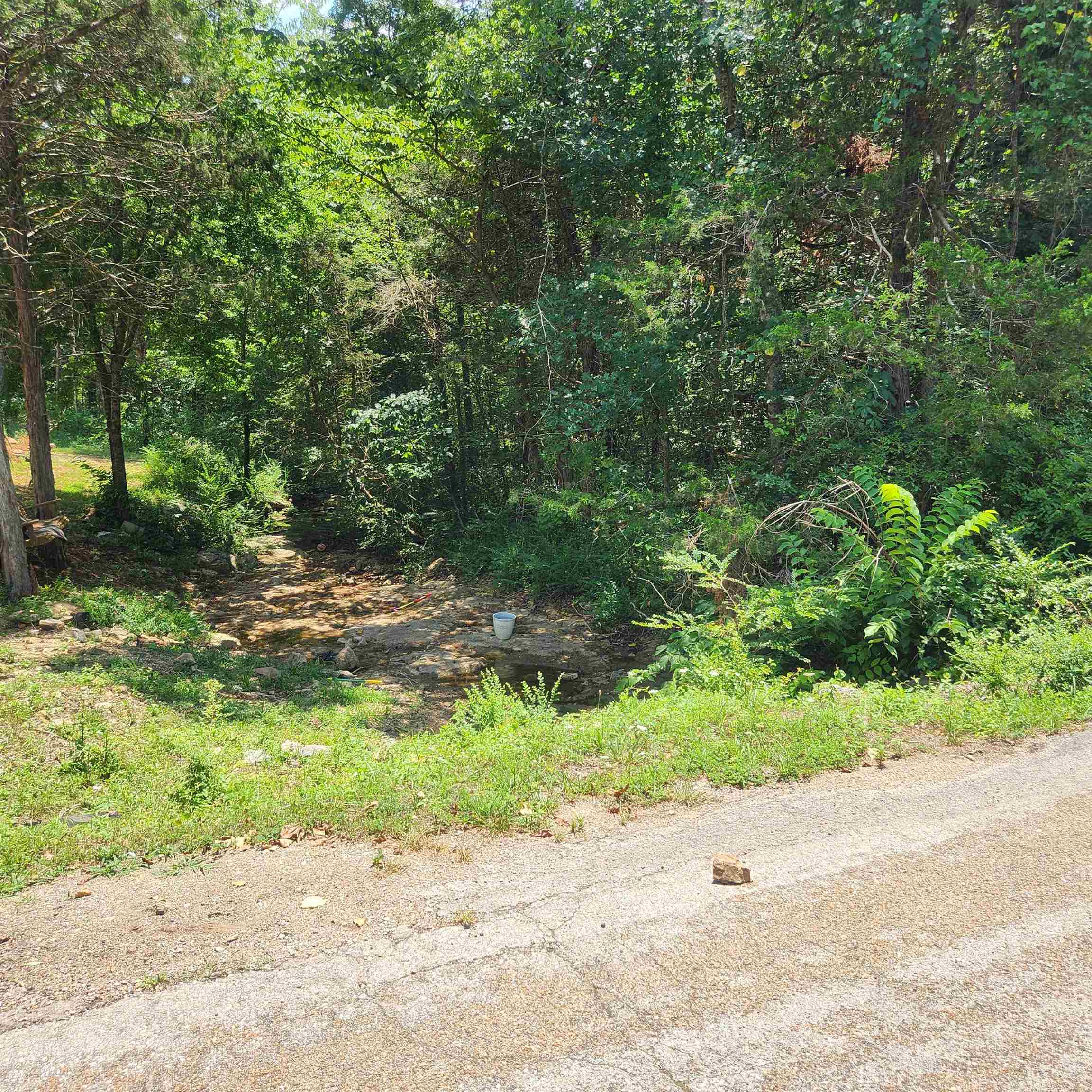 Photo 20 - Vacant Land for sale – L-25, B-13A  Altakima   Cherokee Village, AR