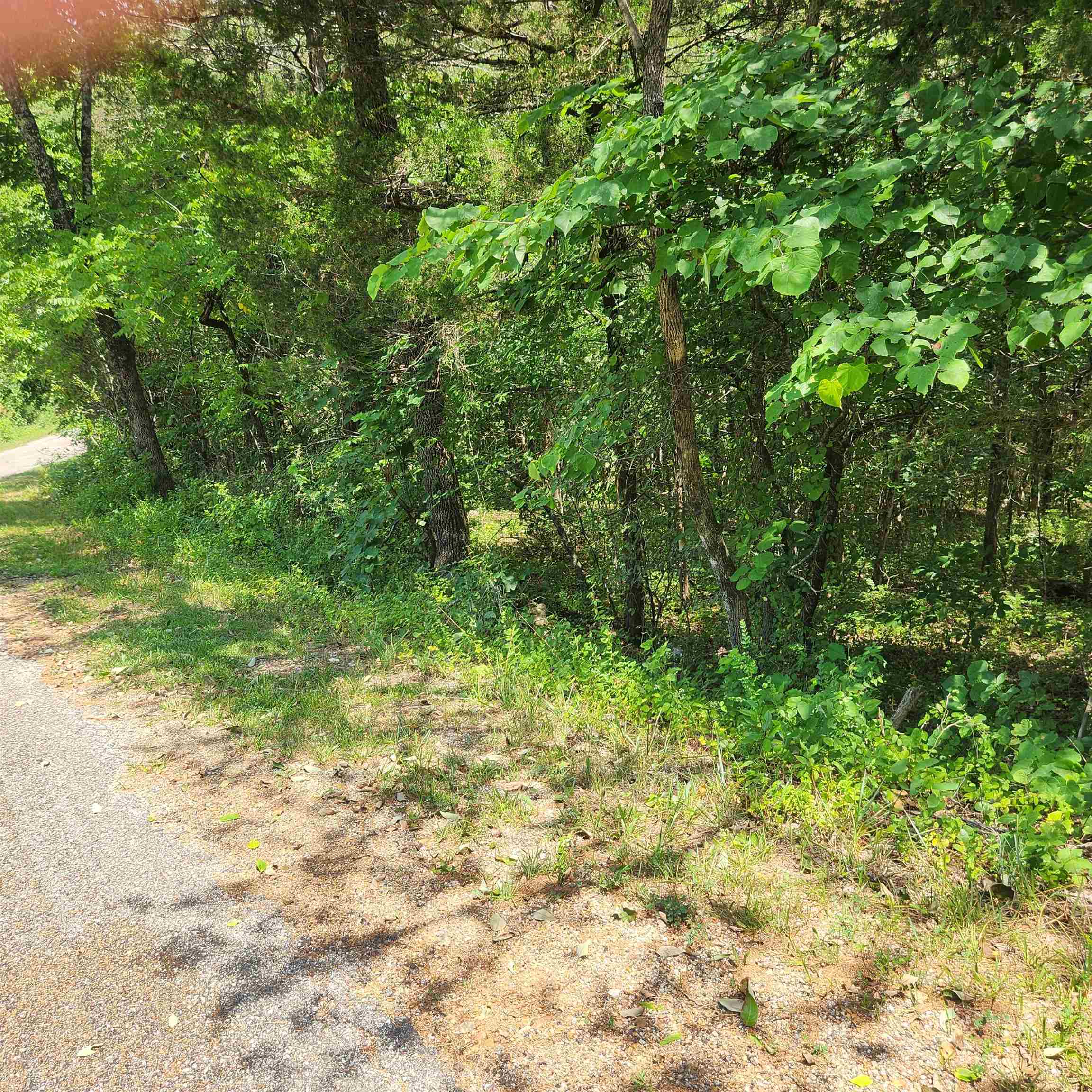 Photo 3 - Vacant Land for sale – L-25, B-13A  Altakima   Cherokee Village, AR