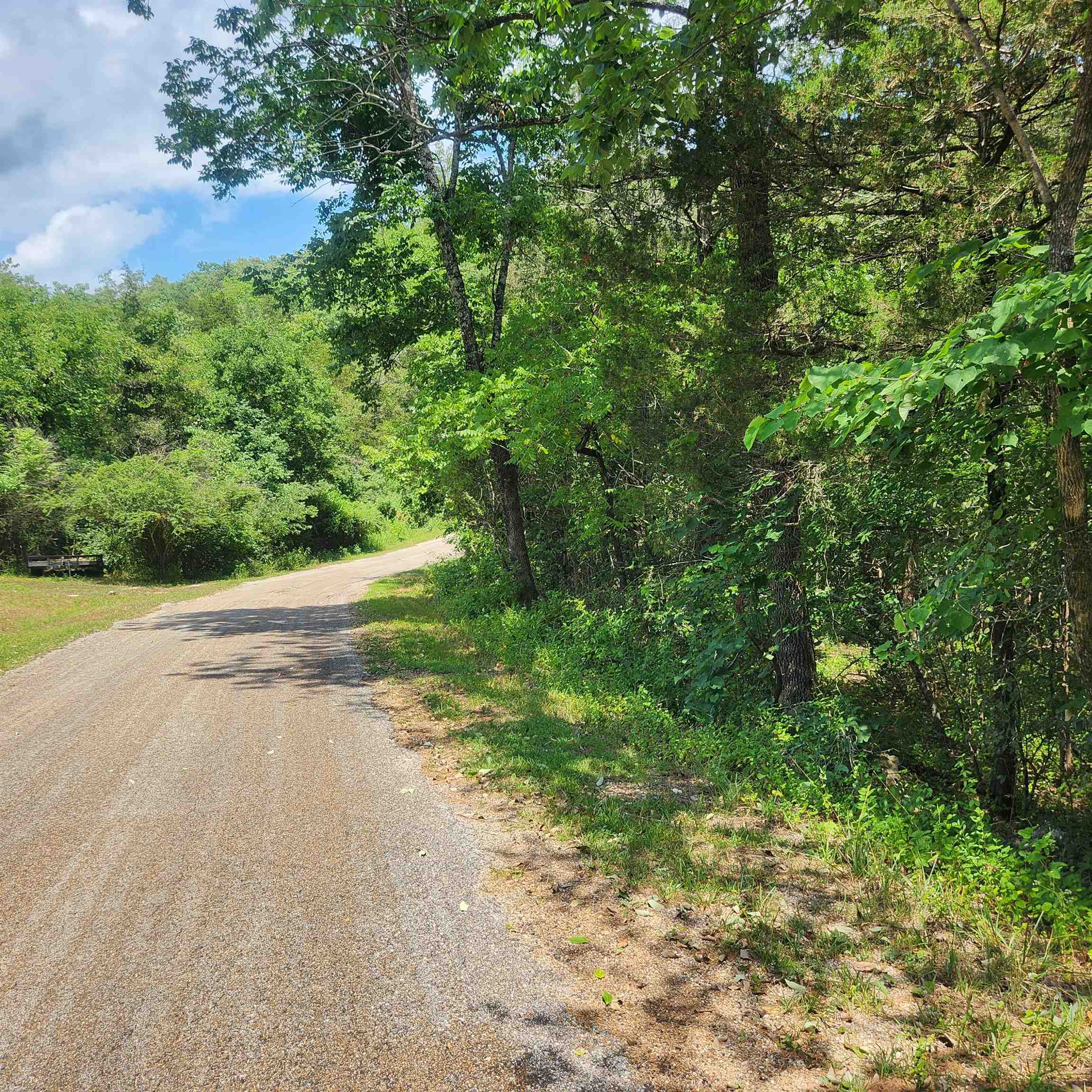 Photo 4 - Vacant Land for sale – L-25, B-13A  Altakima   Cherokee Village, AR