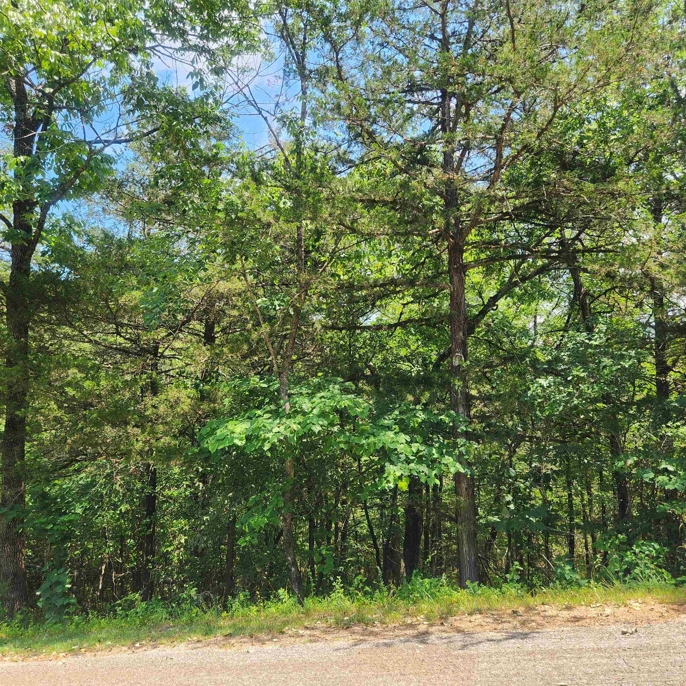 Photo 5 - Vacant Land for sale – L-25, B-13A  Altakima   Cherokee Village, AR