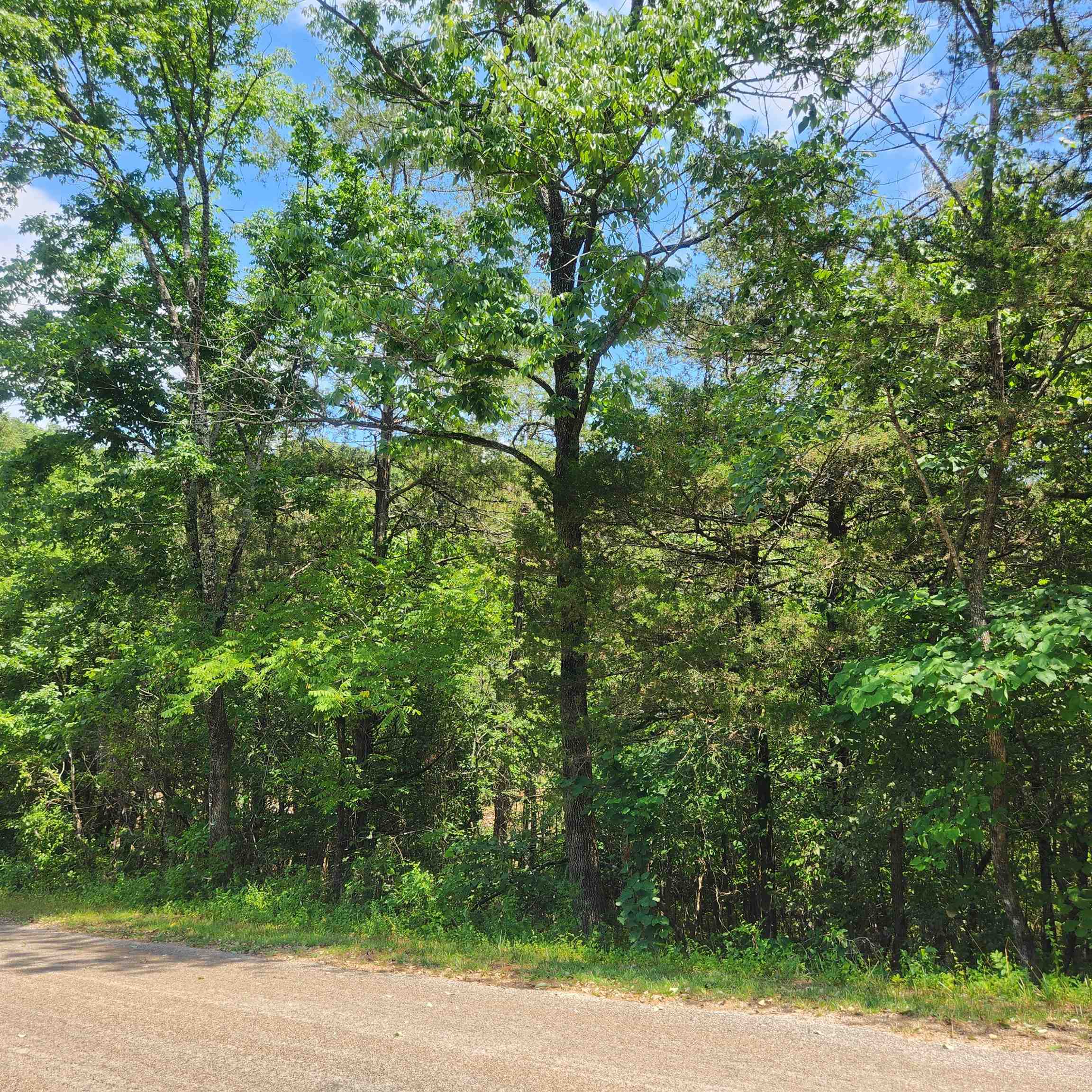 Photo 6 - Vacant Land for sale – L-25, B-13A  Altakima   Cherokee Village, AR