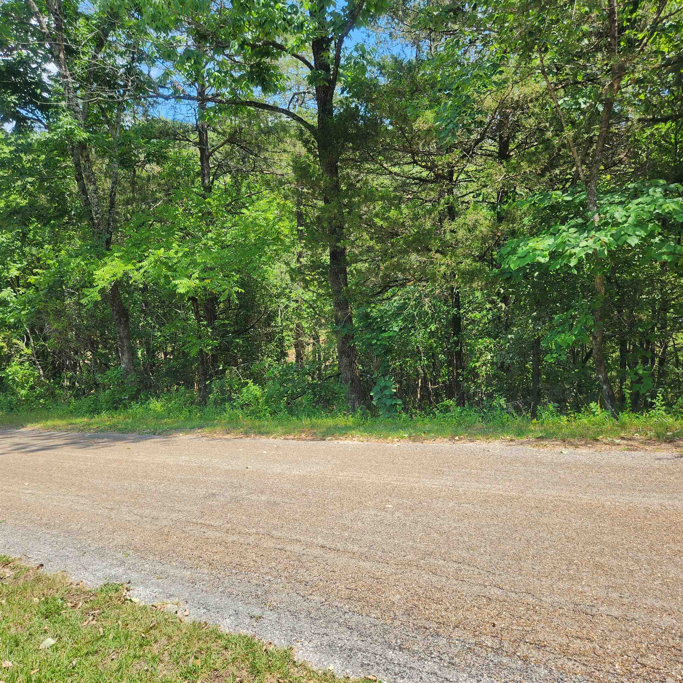 Photo 8 - Vacant Land for sale – L-25, B-13A  Altakima   Cherokee Village, AR