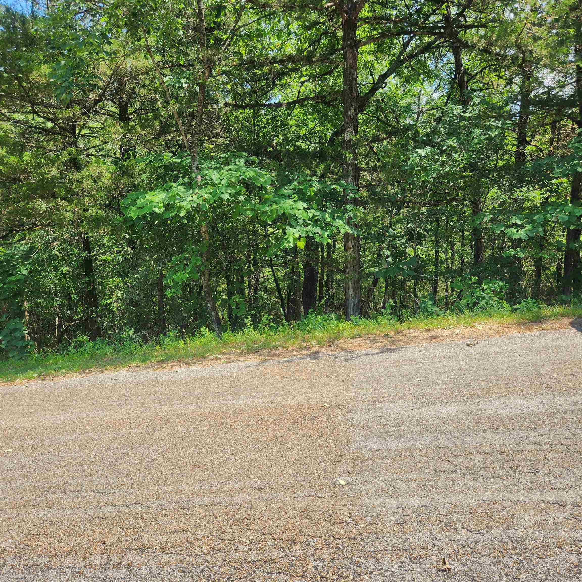 Photo 9 - Vacant Land for sale – L-25, B-13A  Altakima   Cherokee Village, AR