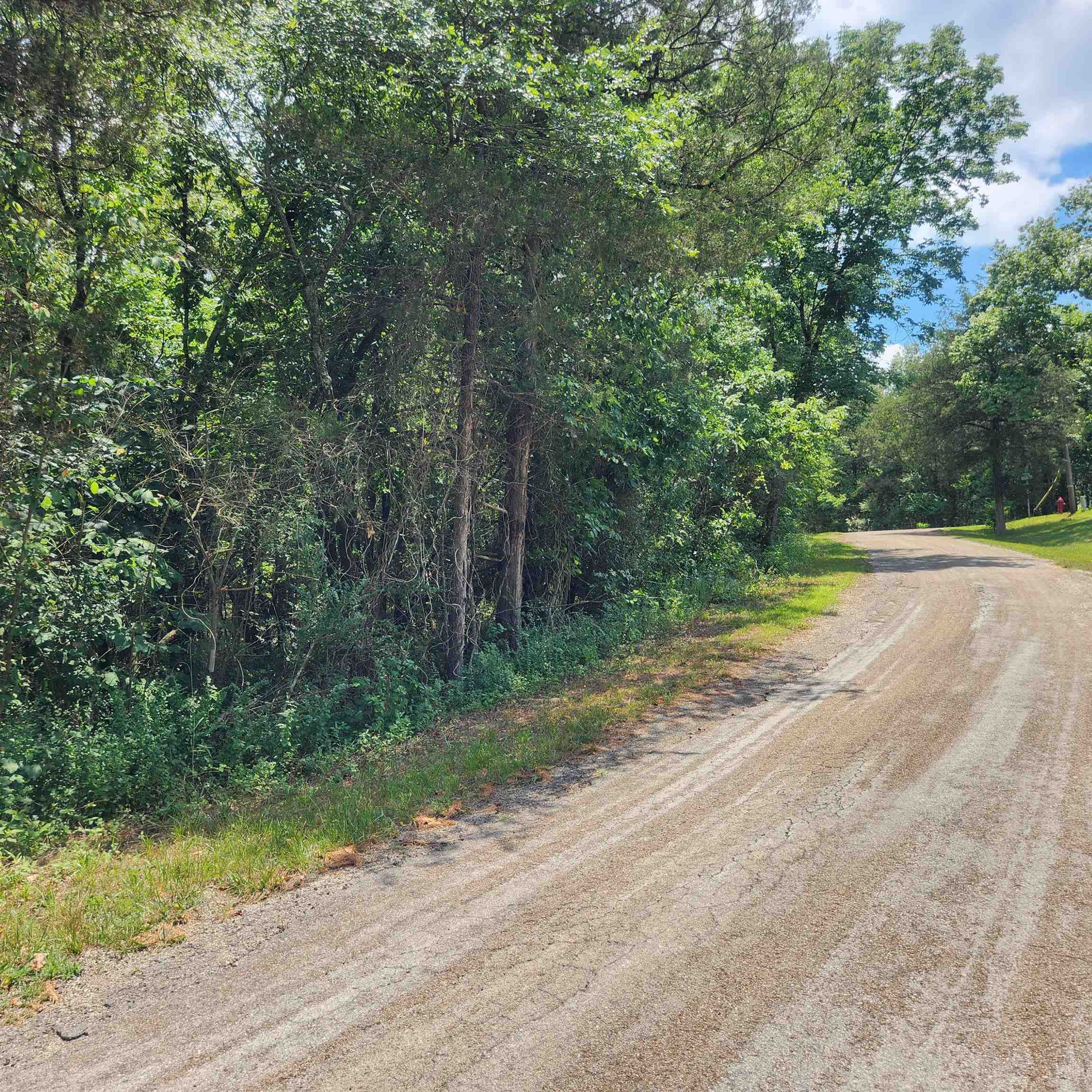 Photo 10 - Vacant Land for sale – L-25, B-13A  Altakima   Cherokee Village, AR